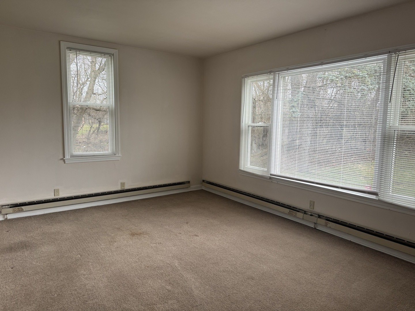 215 N 5th Avenue Unit: 215