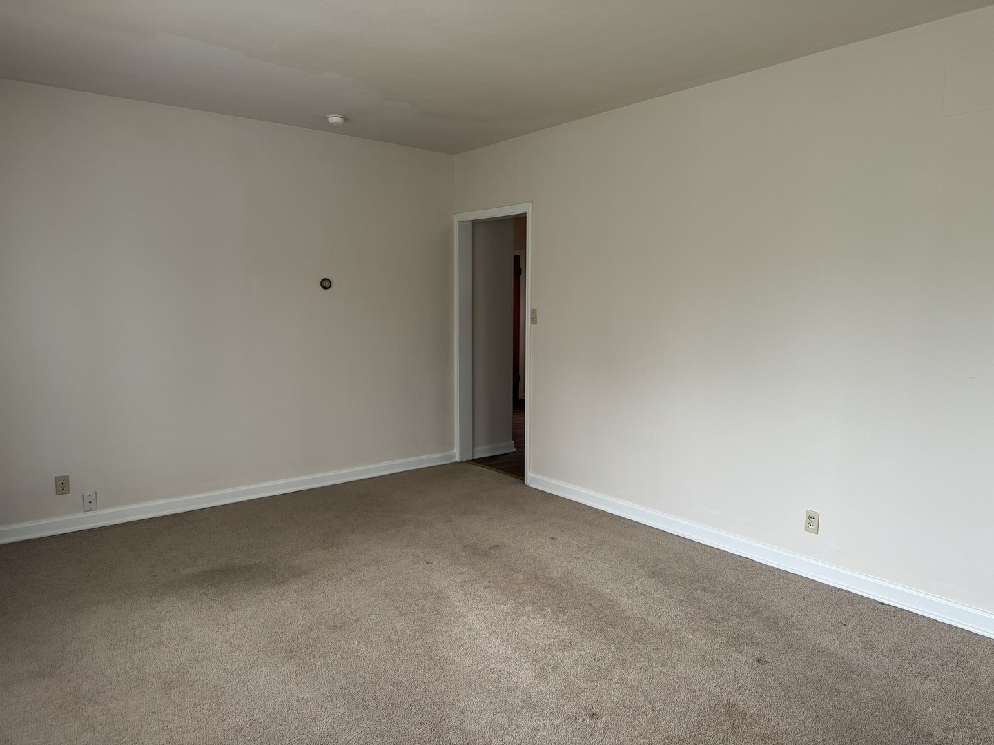 215 N 5th Avenue Unit: 215