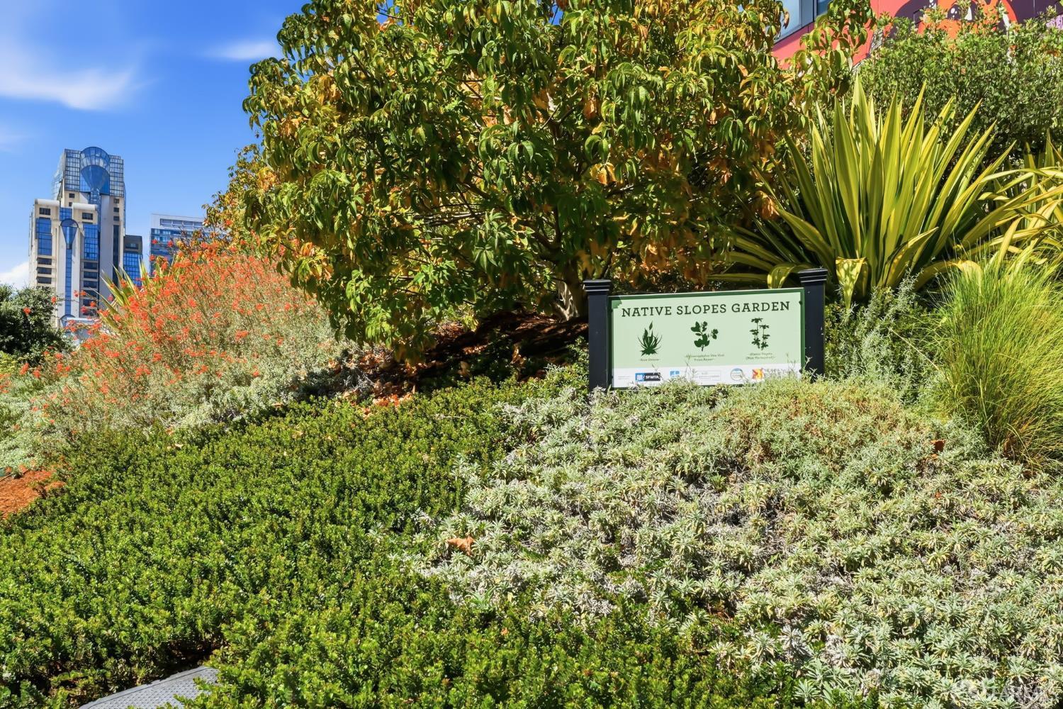 829 Folsom Street # 202
