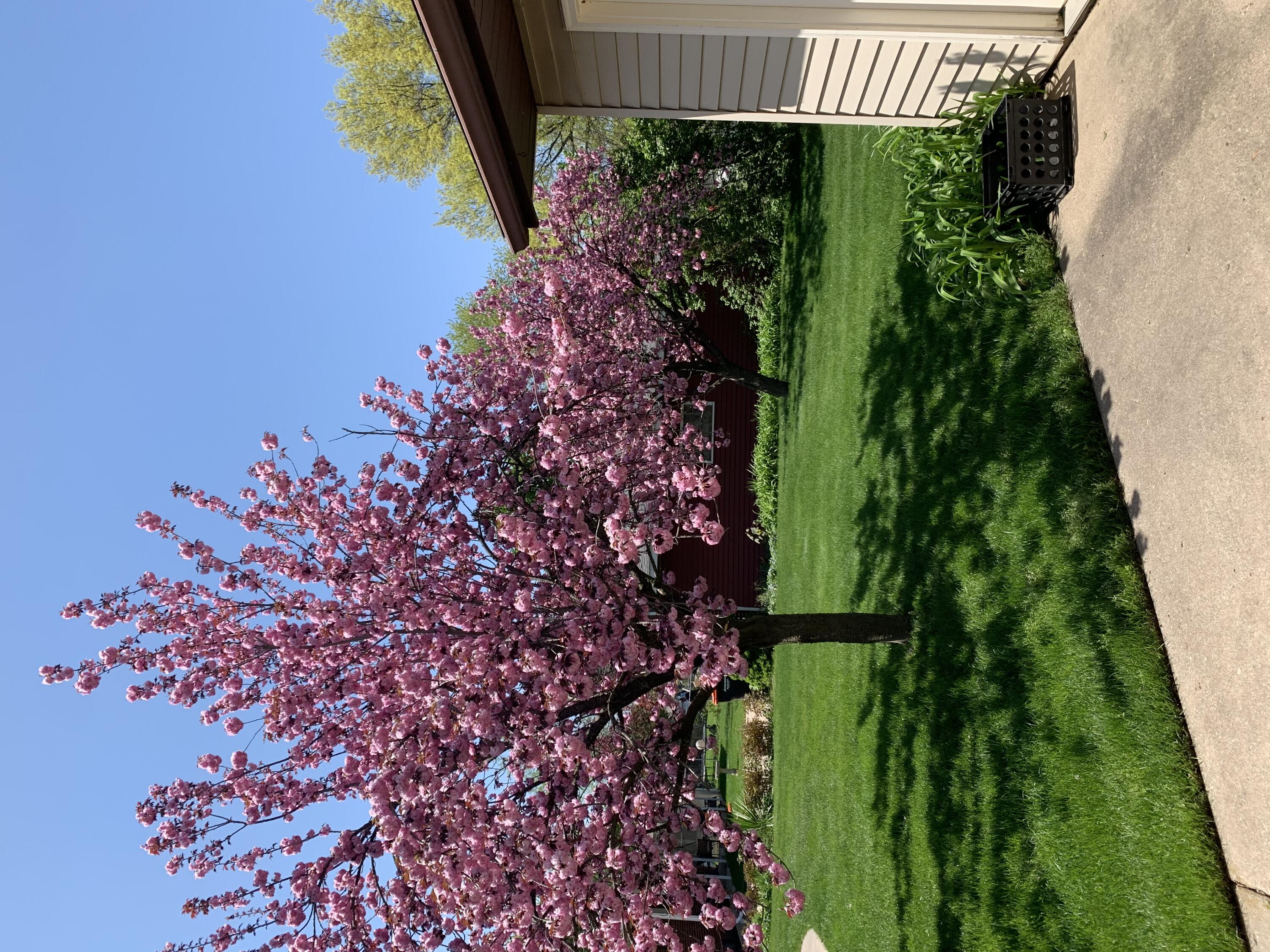 4309 Billmar Street SW