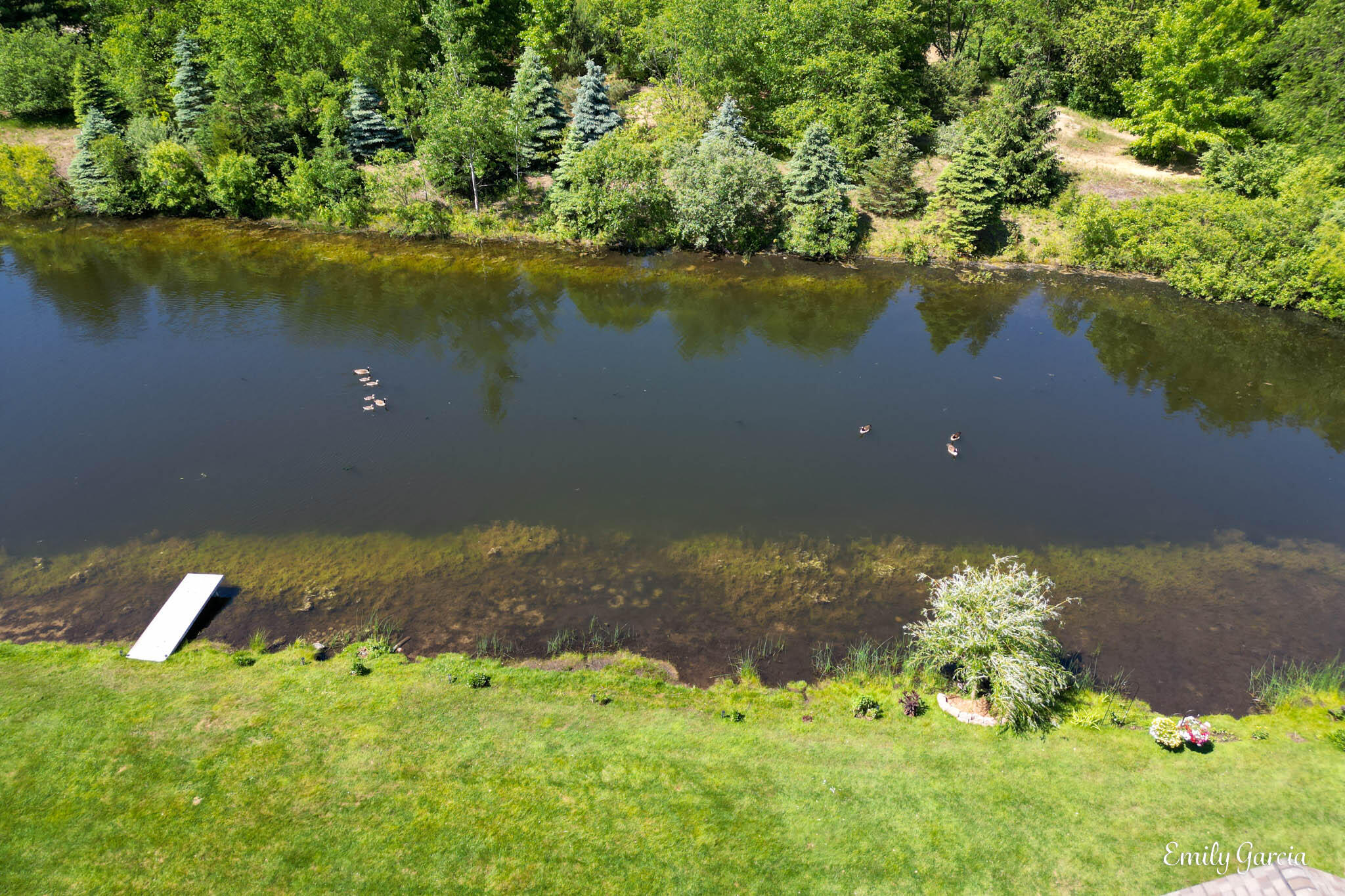 1501 Dexter Street SW, 35