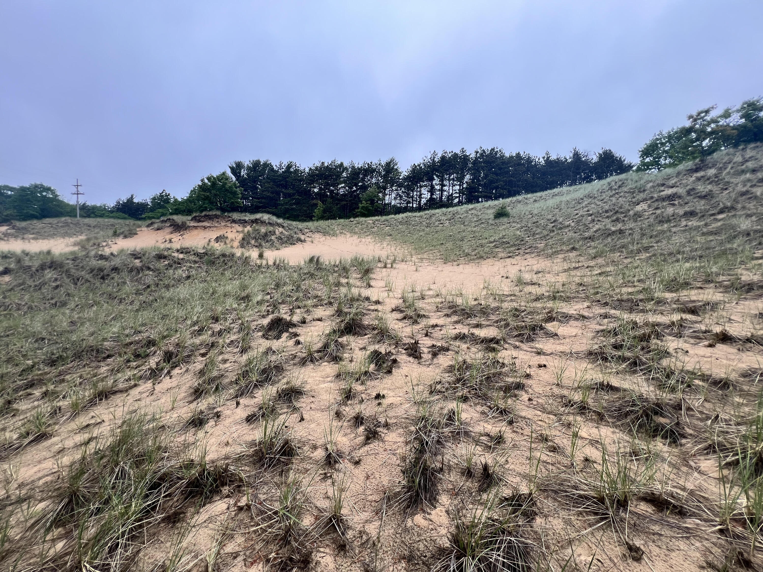 V/L Ruby Ridge Street