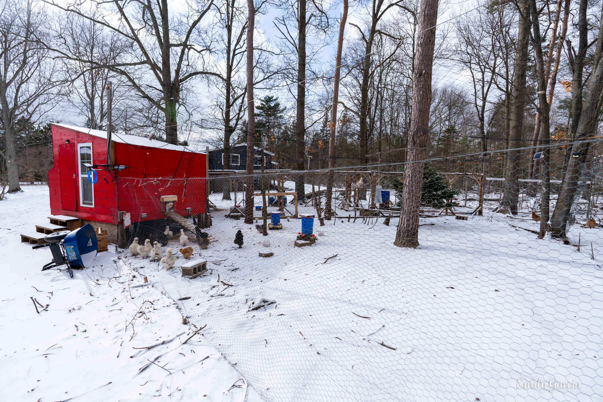 4184 Butternut Drive