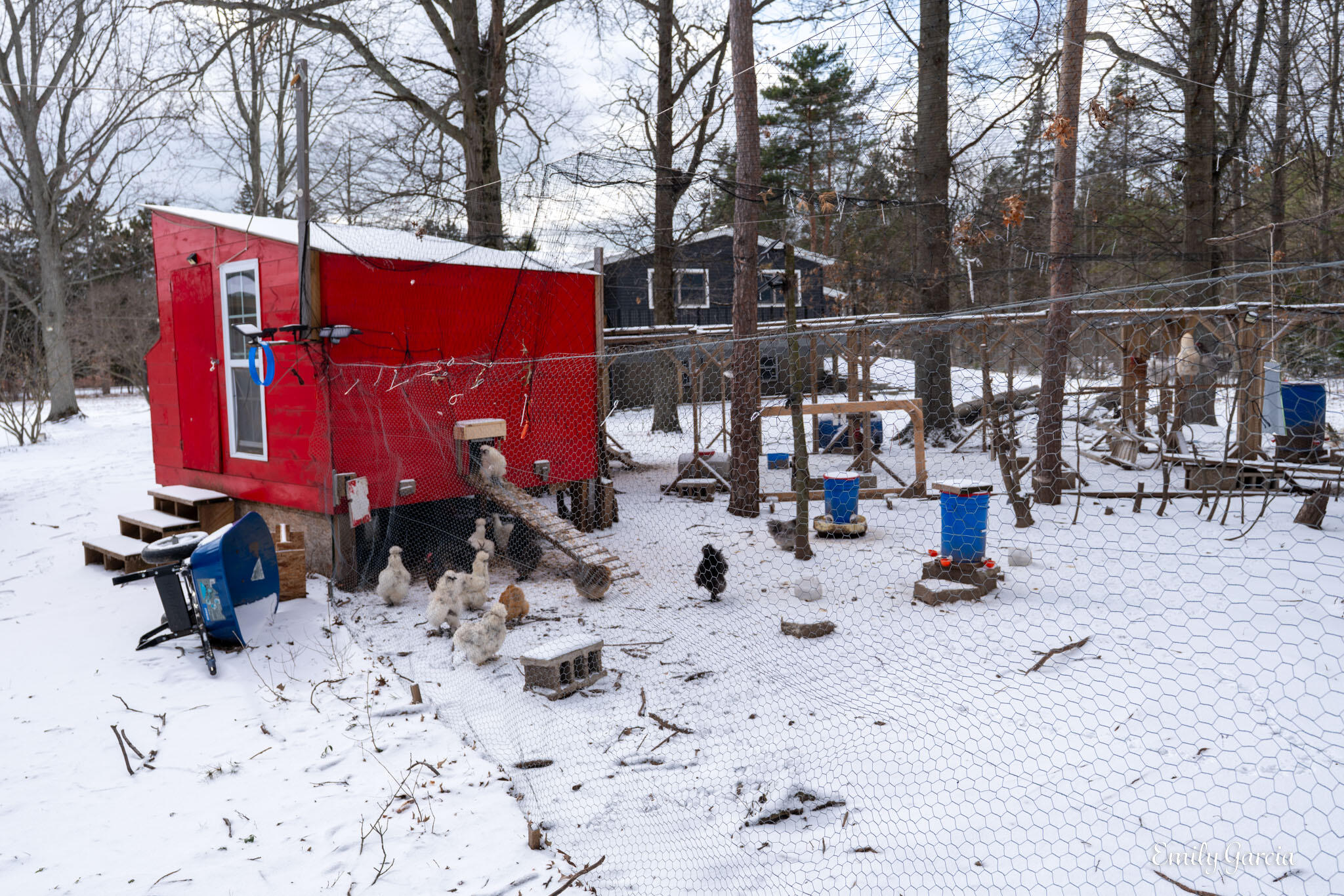 4184 Butternut Drive