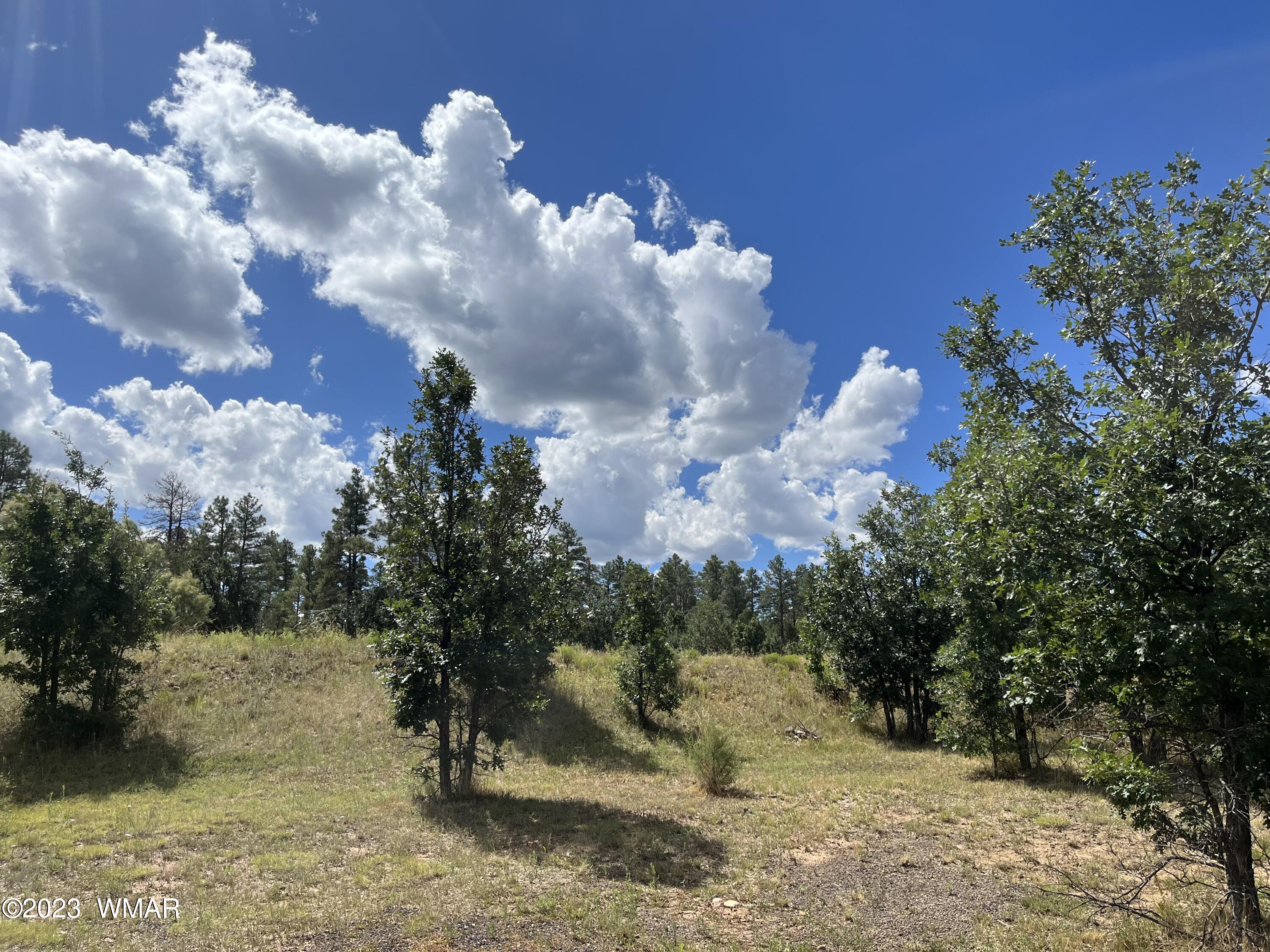 5369 Sunrise Road