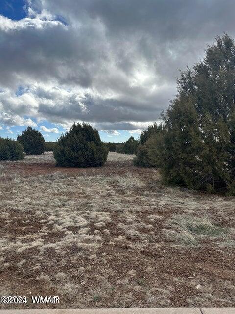1121 S Ridgeline Drive