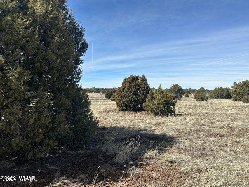 2241 E Rimstone Drive