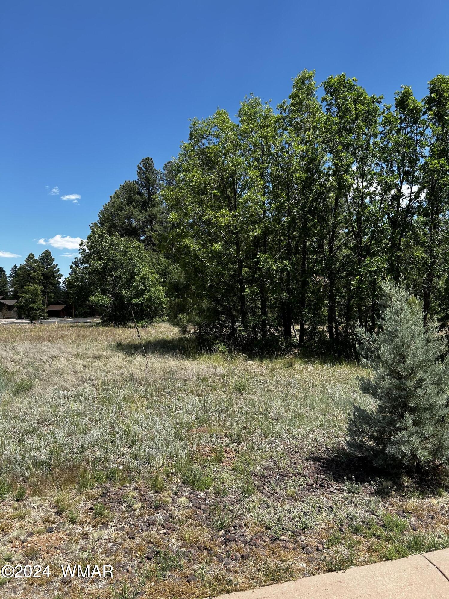 1781 S Alder Leaf Lane