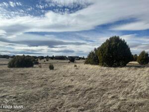 1061 S Lorenzo Sitgreaves Drive, 1B Lot 79