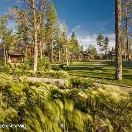 1460 S Wheatgrass Lane