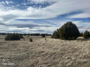 2221 E Rimstone Drive
