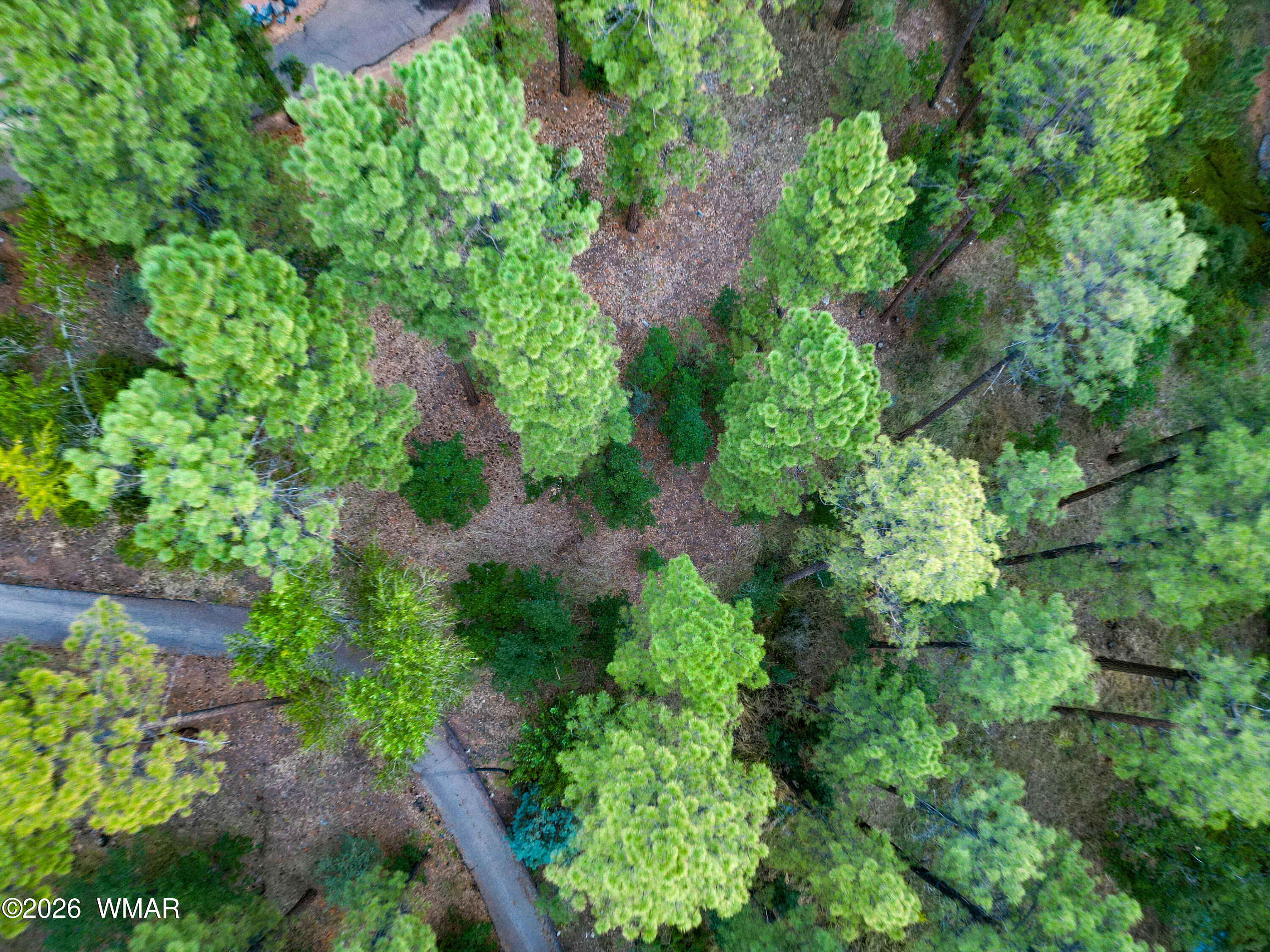 2200 W Whispering Springs Road