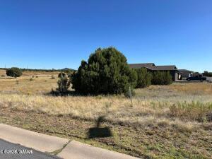 1100 S Ridgecreek Lane