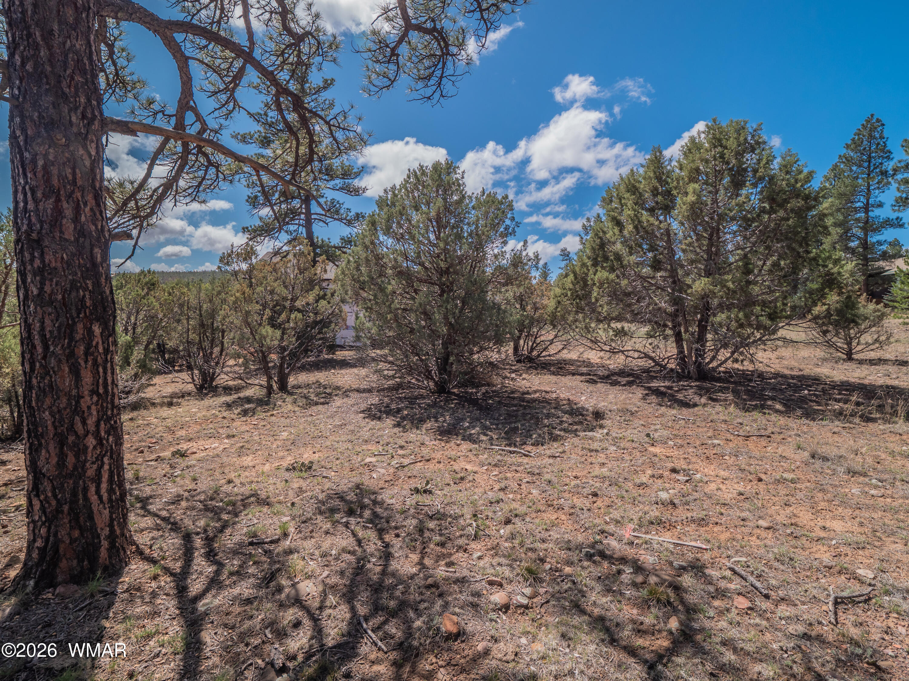 1260 S Lakeside Trail