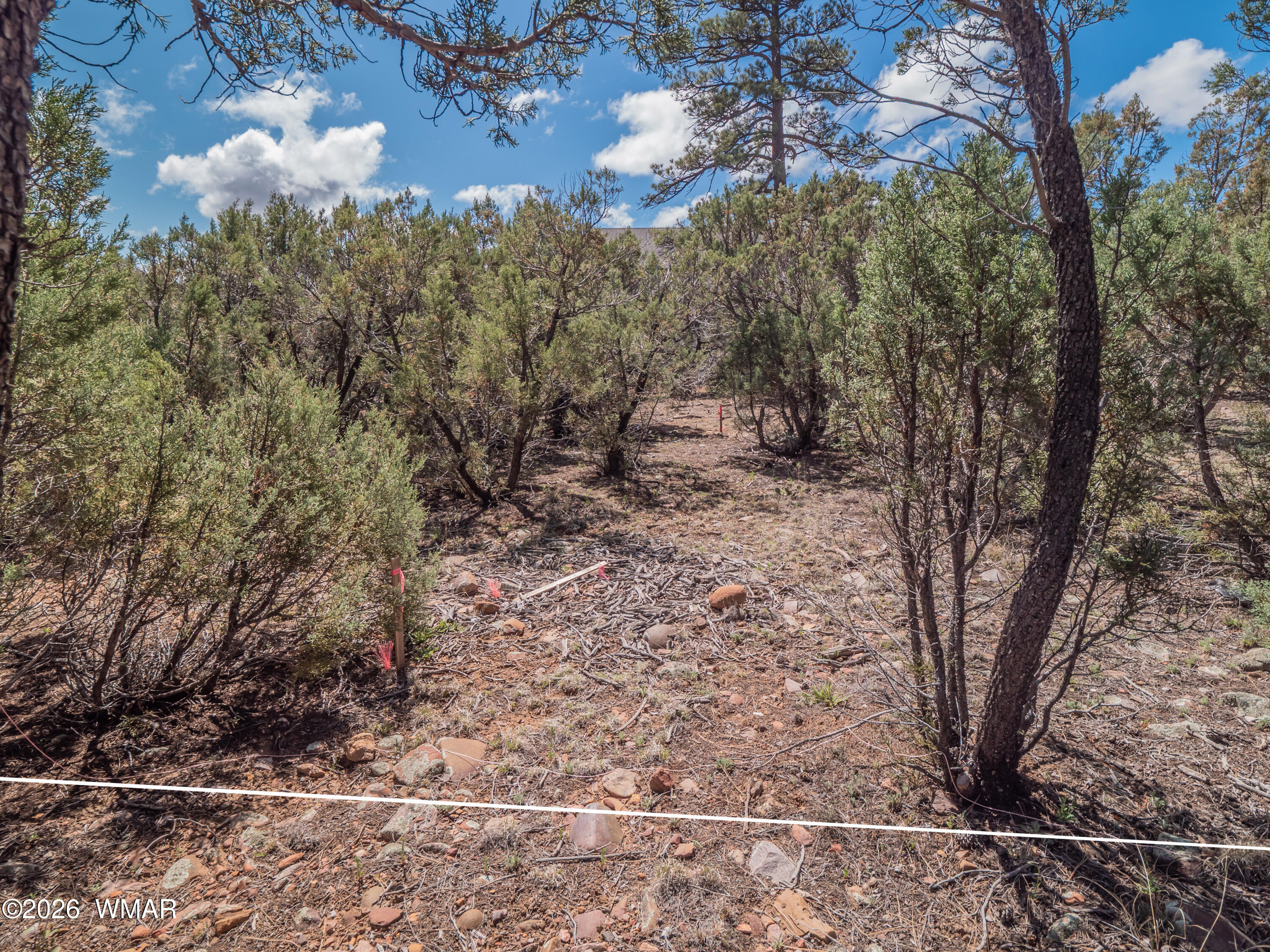1260 S Lakeside Trail