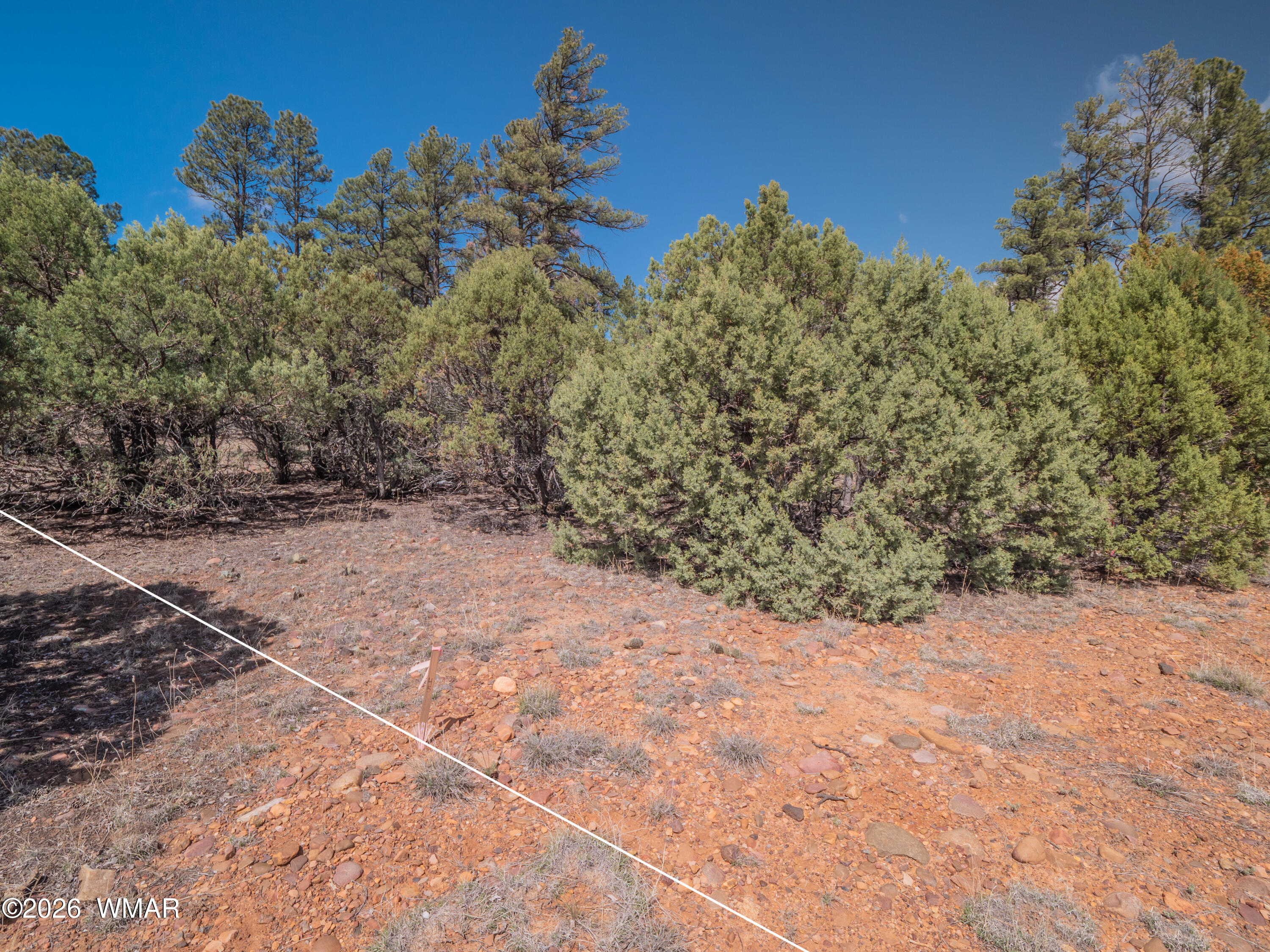 1260 S Lakeside Trail
