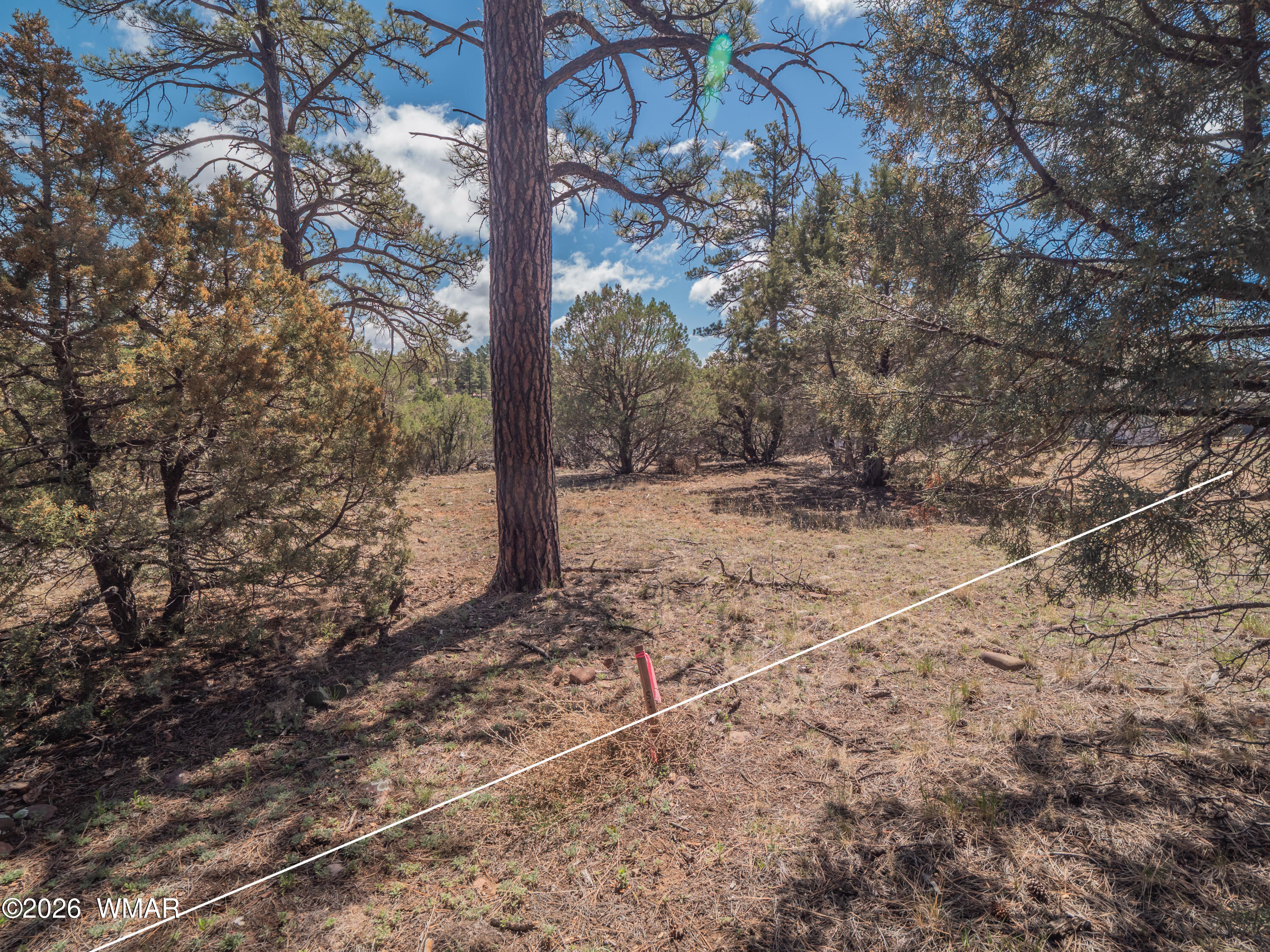 1260 S Lakeside Trail