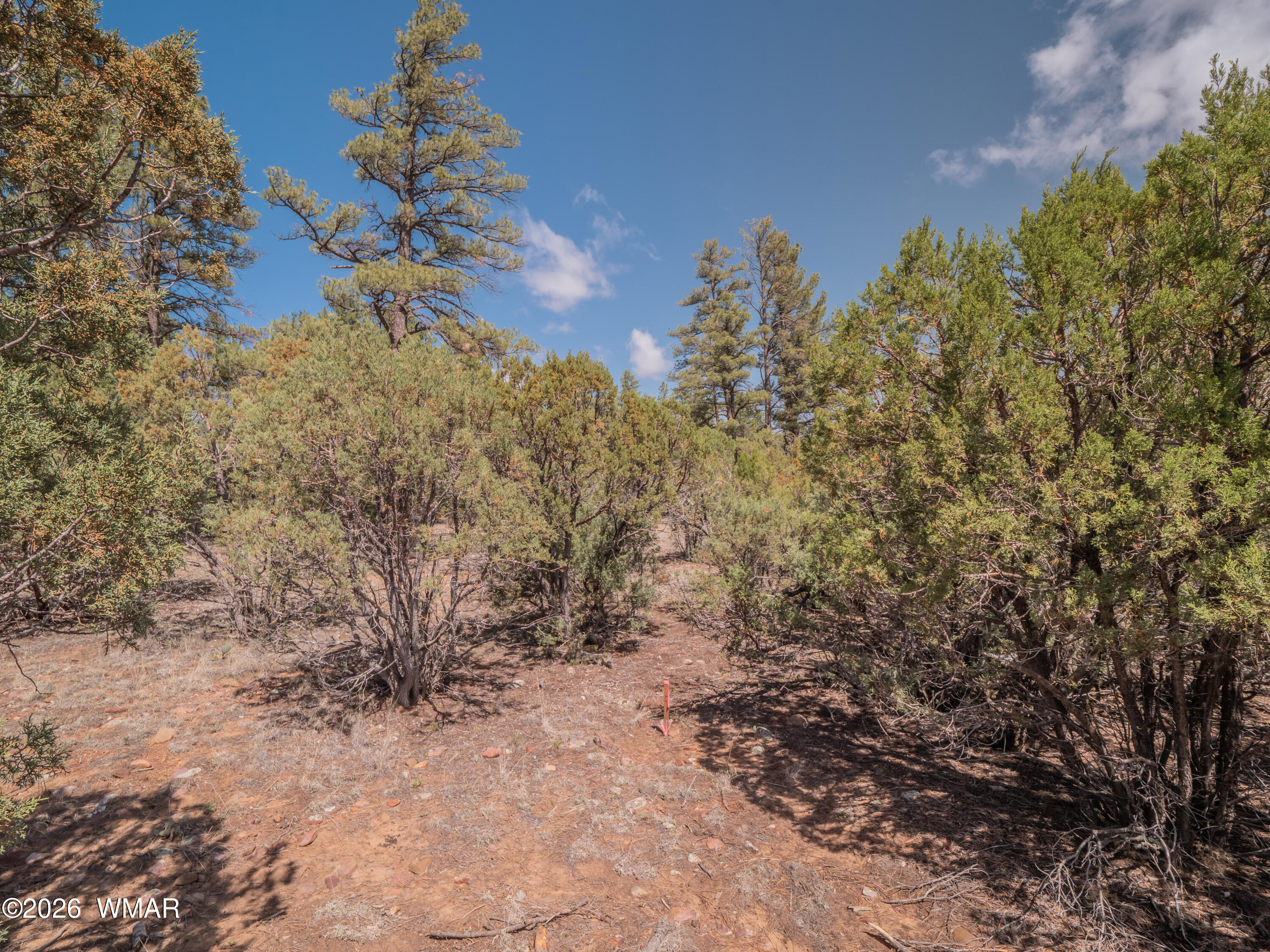 1260 S Lakeside Trail