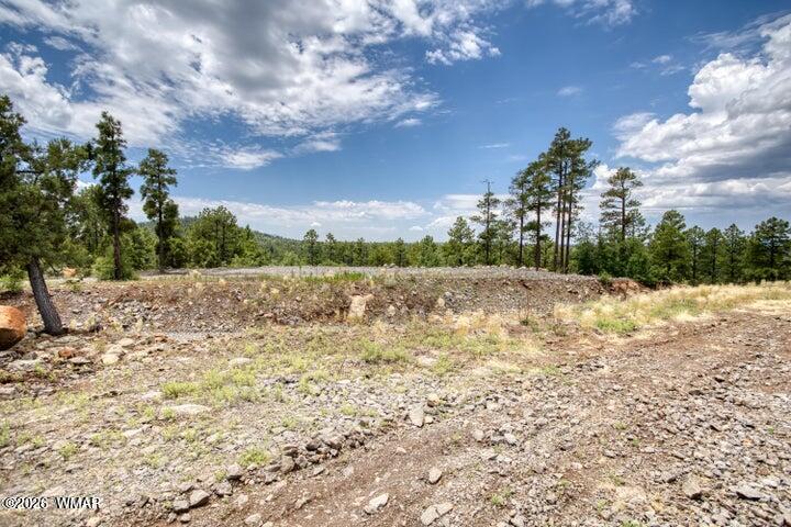 TBD Jacks Lane, Parcel #1