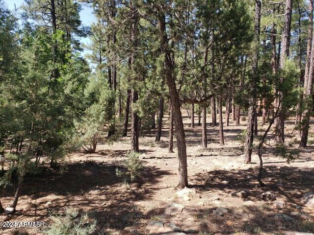 4200 W ACER Lane, 442