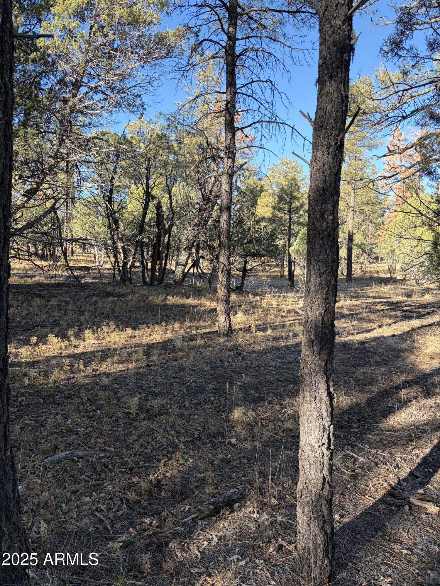 350 N VERBENA Lane 81