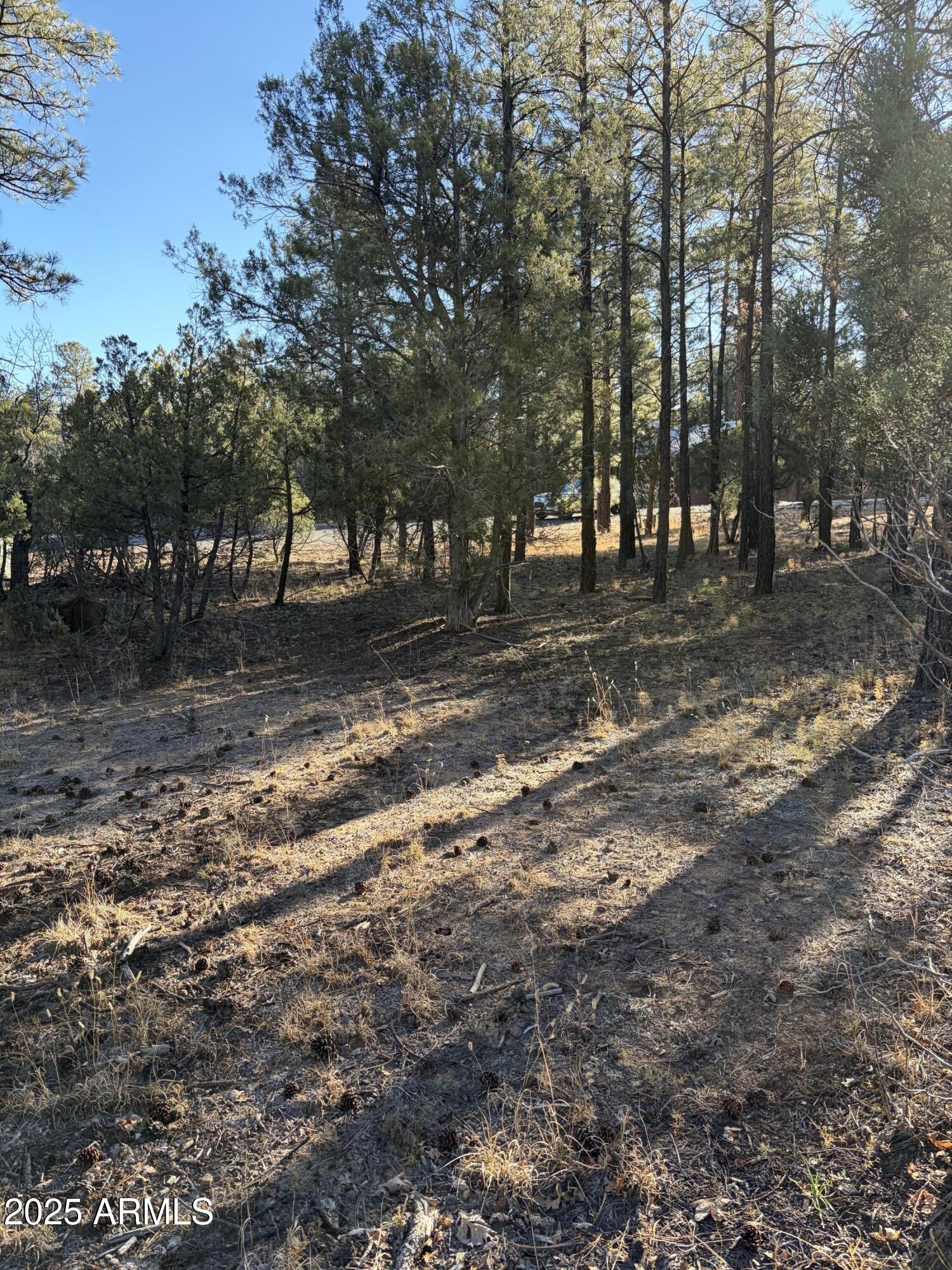 350 N VERBENA Lane 81