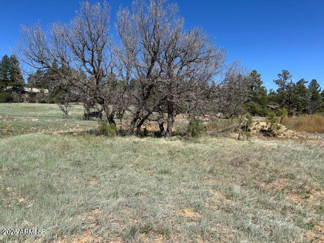 1301 S Lakeside Trail