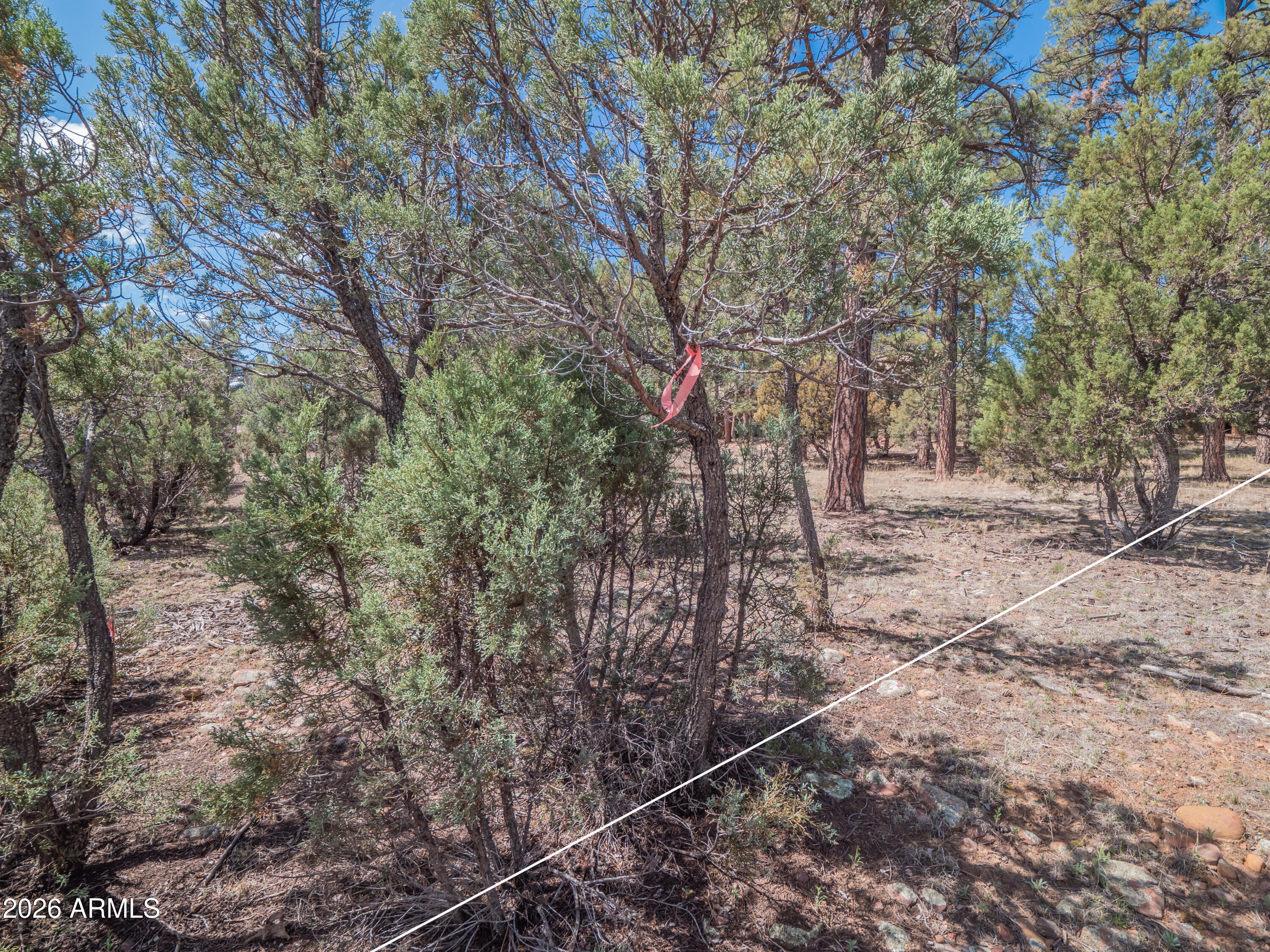 1260 S Lakeside Trail 24
