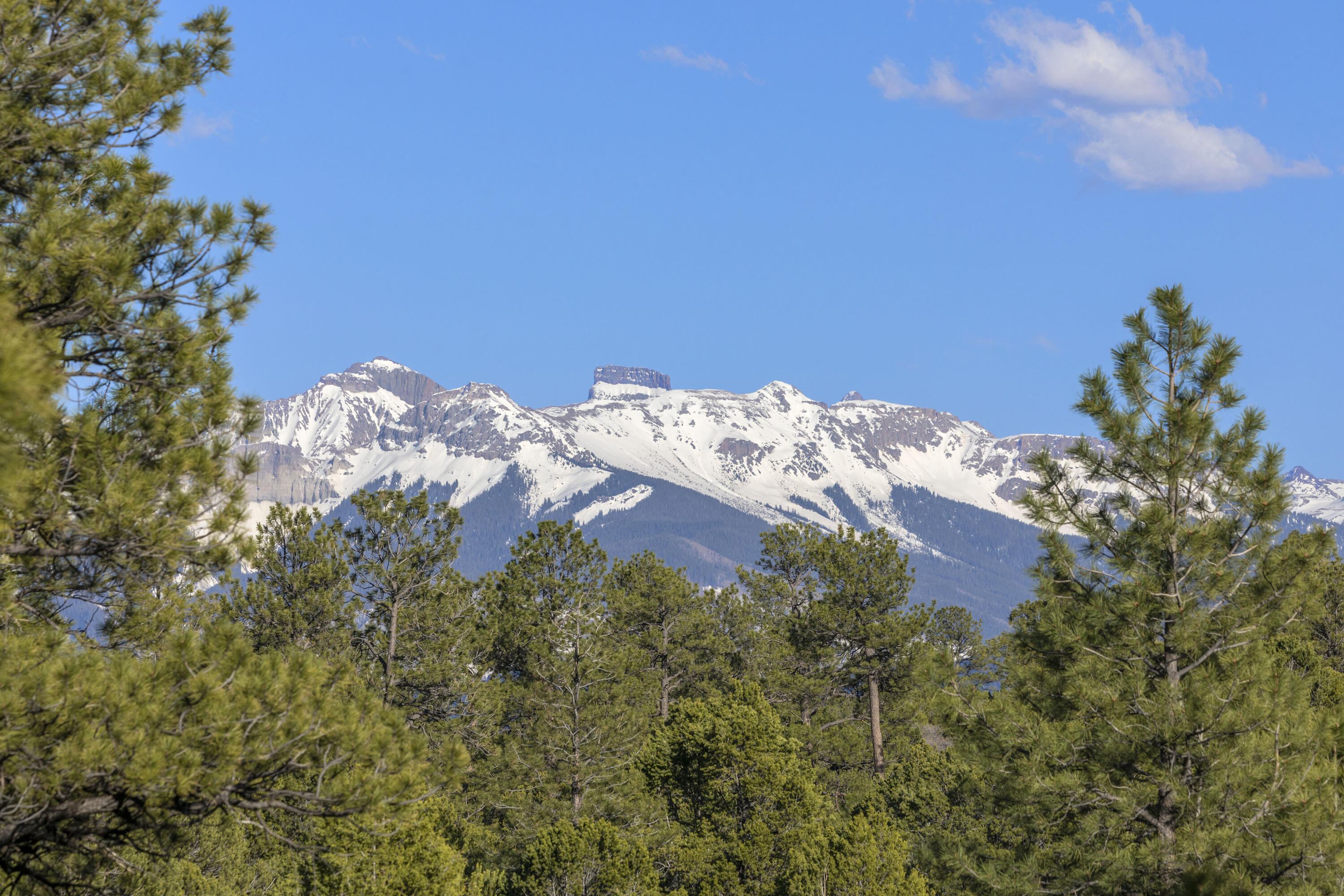 38 Hummingbird Trail