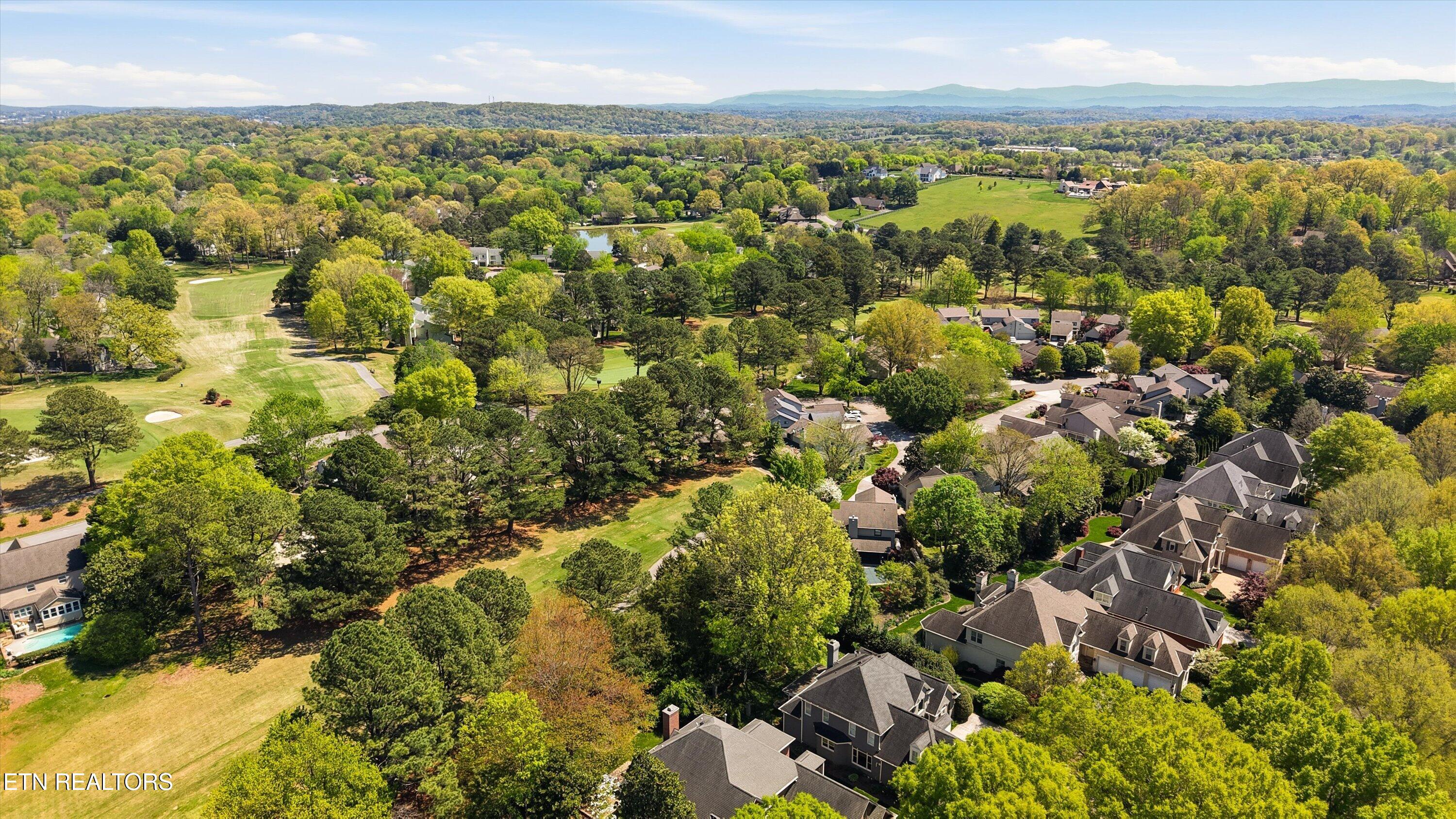 501 Crippled Mule Point