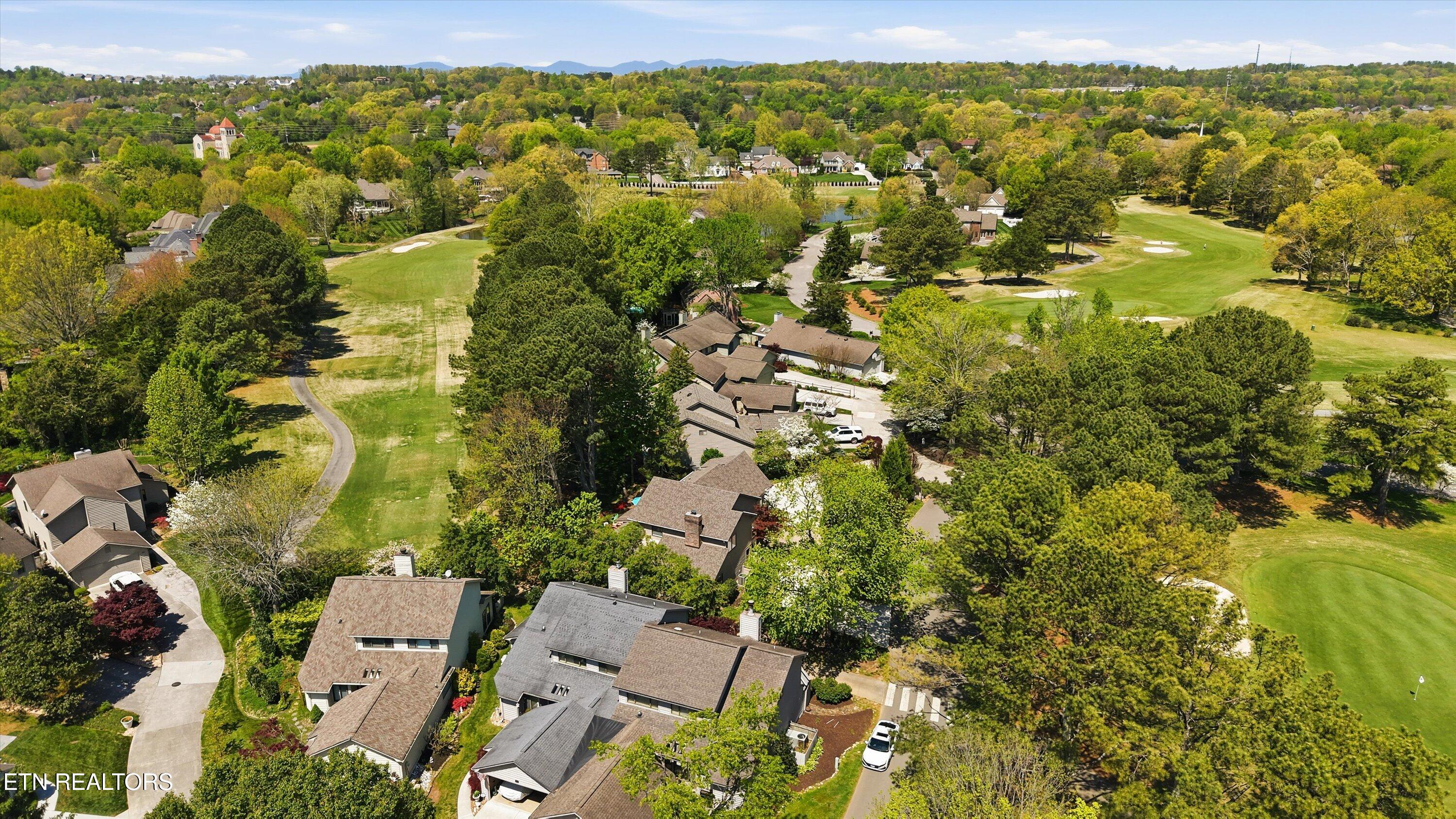 501 Crippled Mule Point