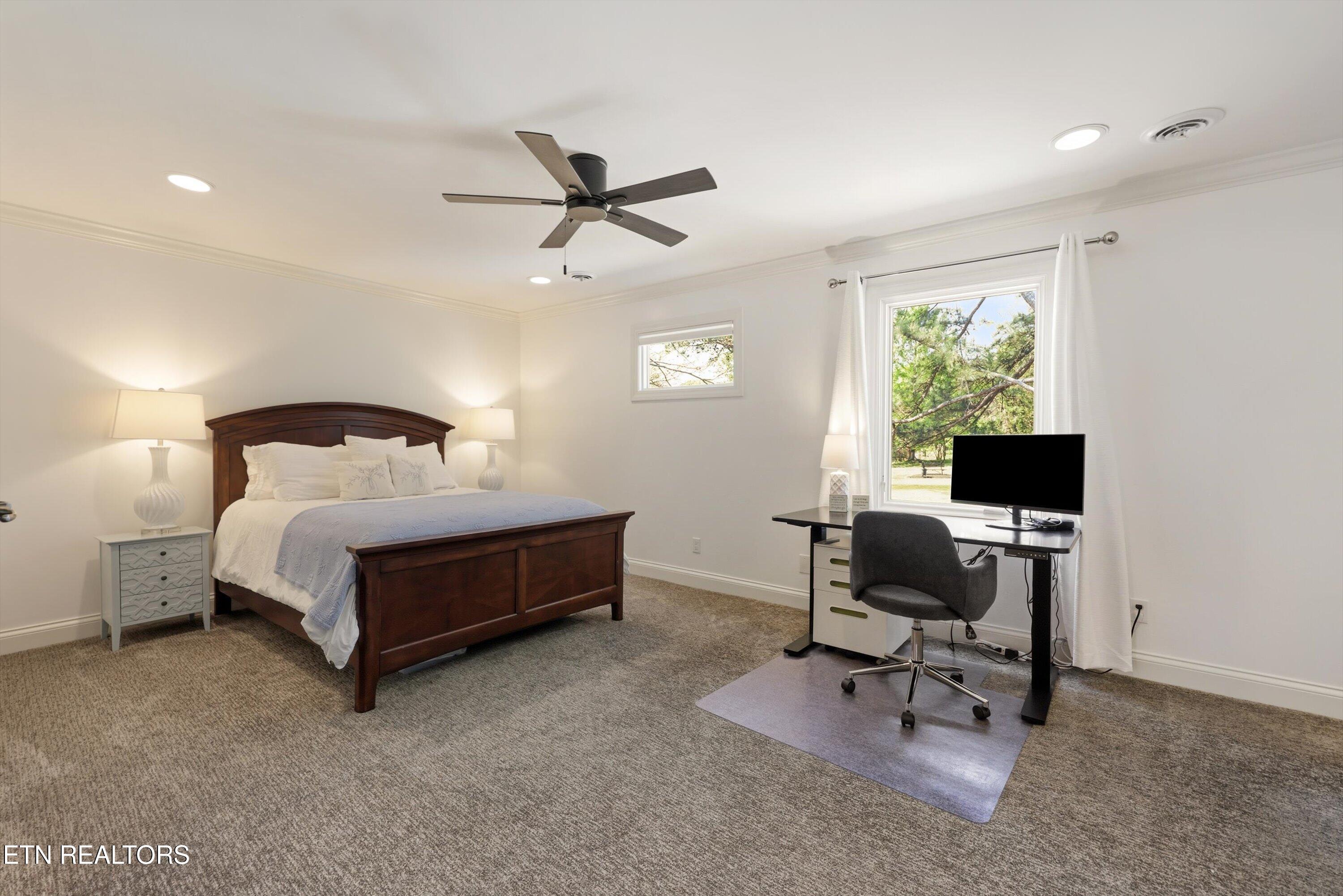 501 Crippled Mule Point