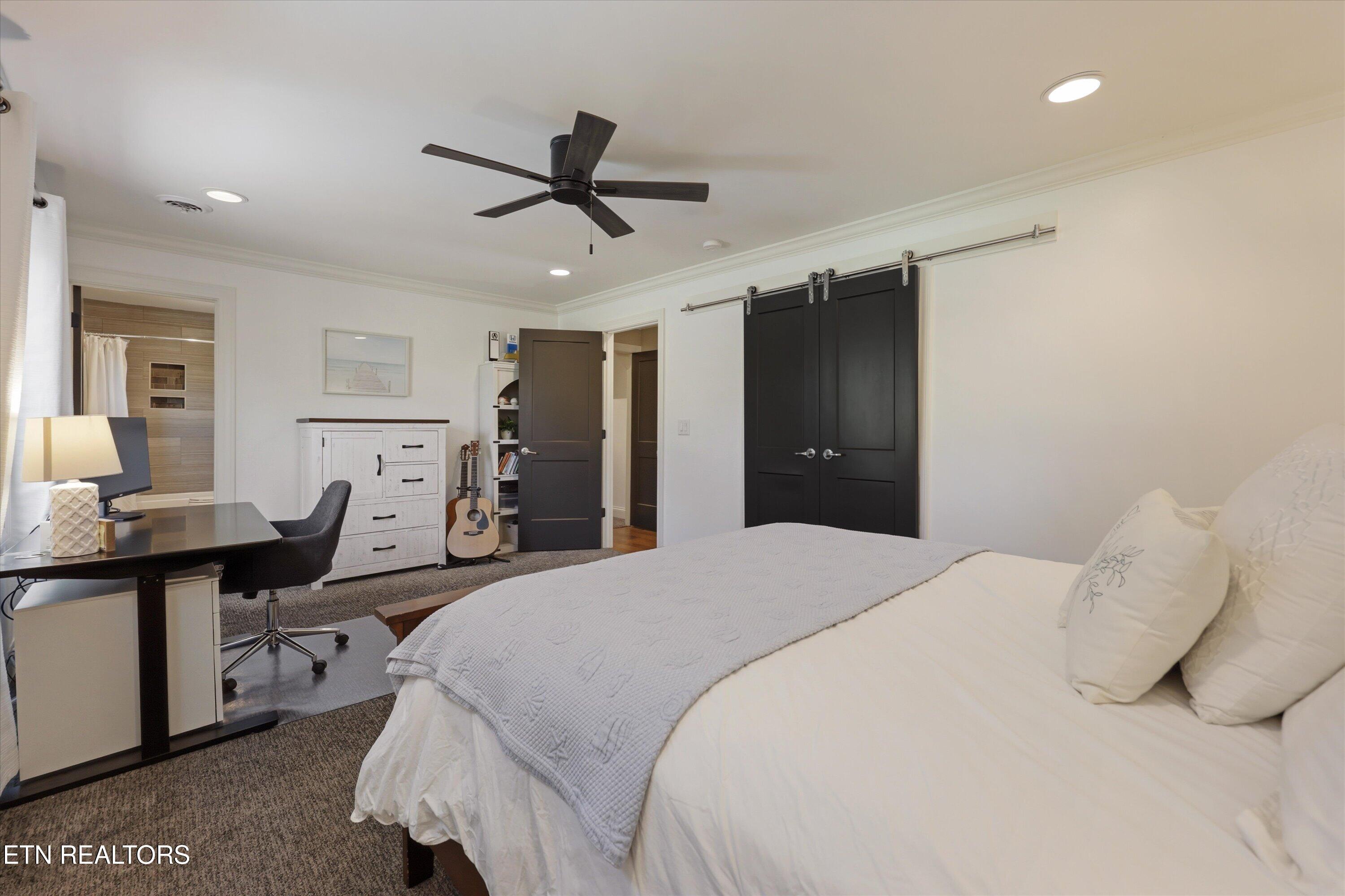 501 Crippled Mule Point