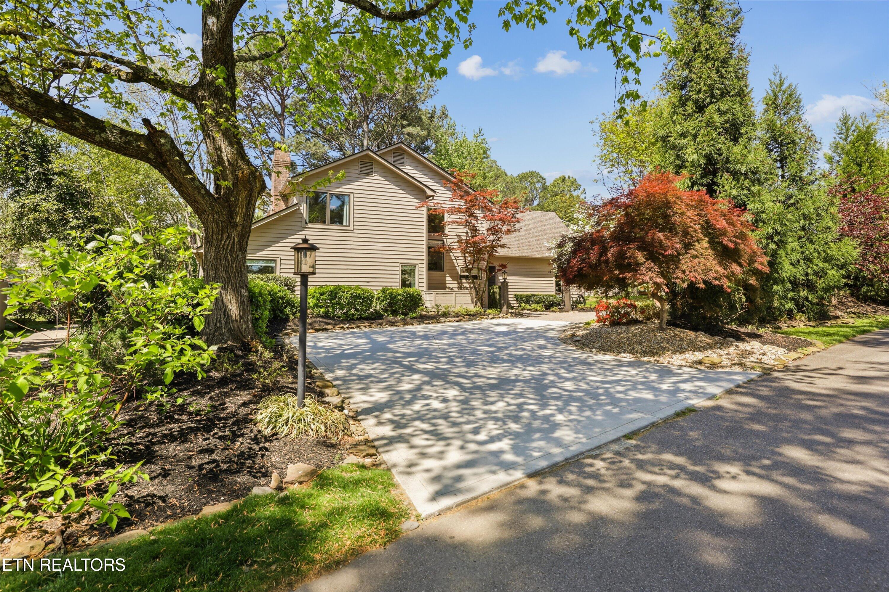 501 Crippled Mule Point