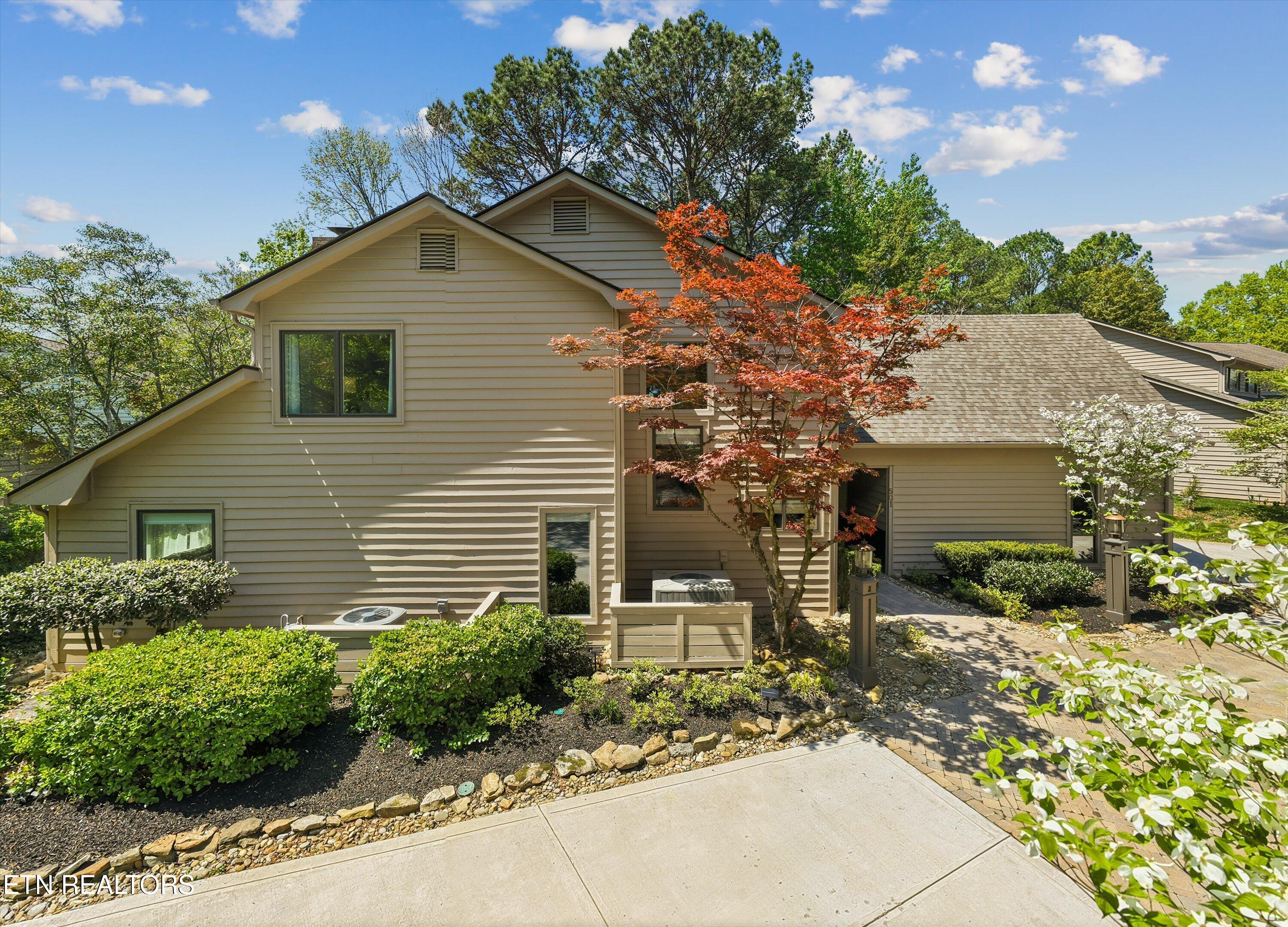 501 Crippled Mule Point