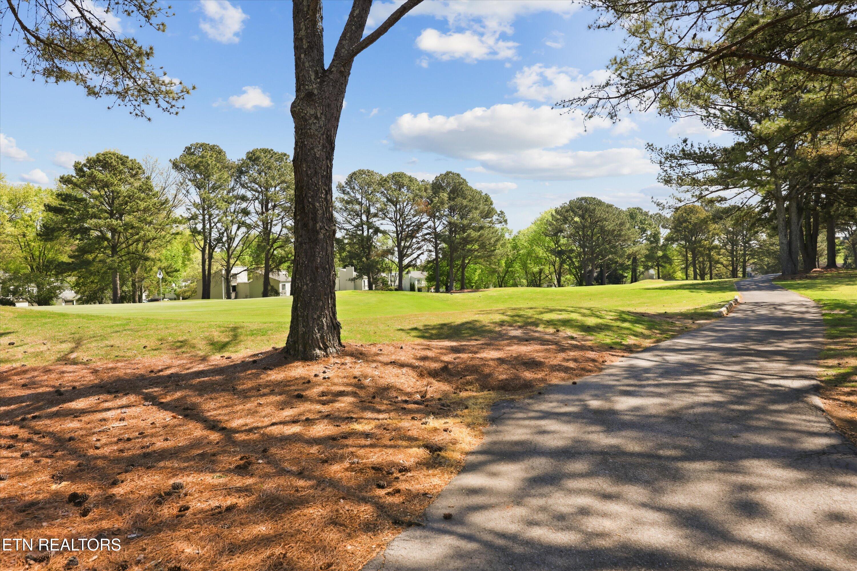 501 Crippled Mule Point