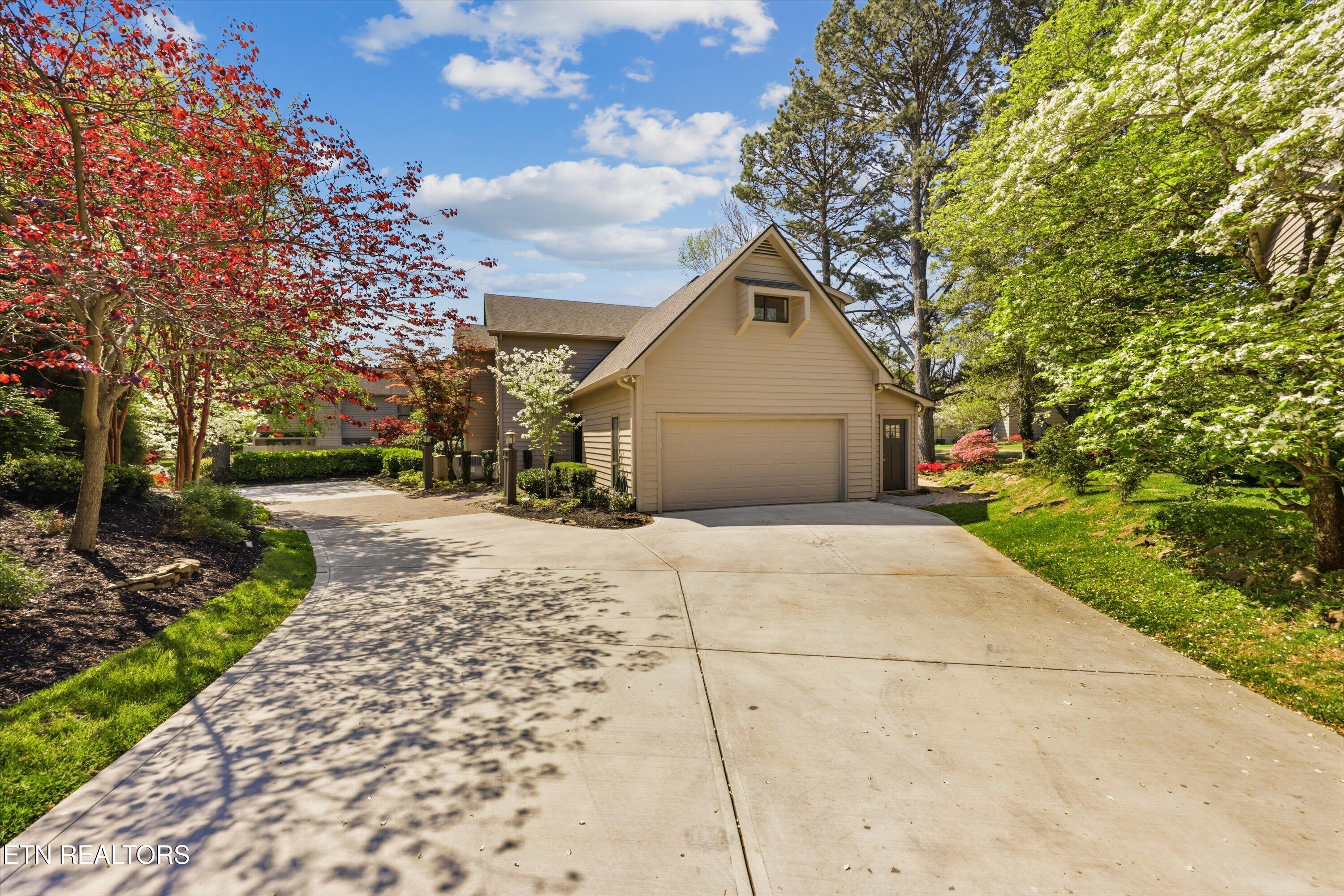 501 Crippled Mule Point