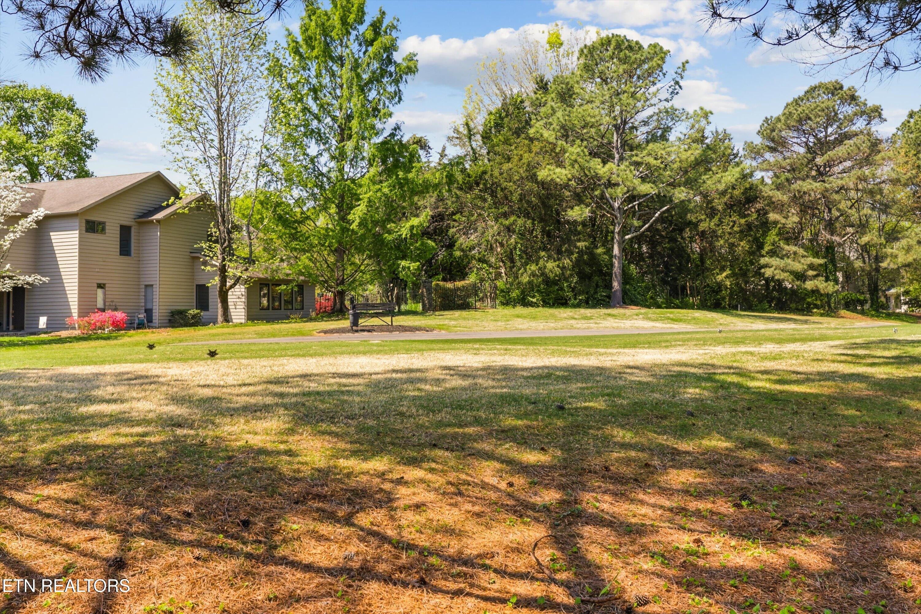 501 Crippled Mule Point