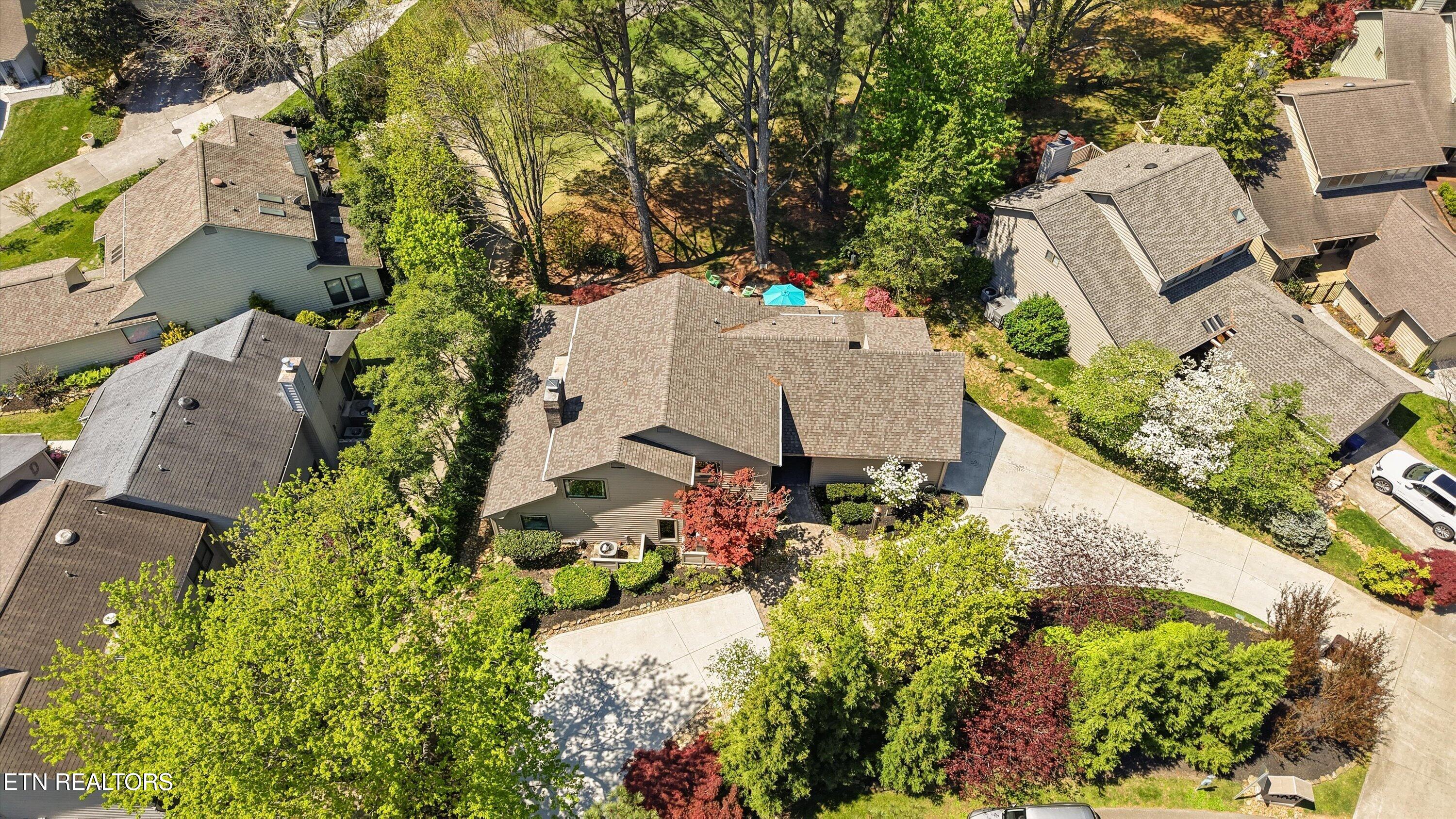 501 Crippled Mule Point