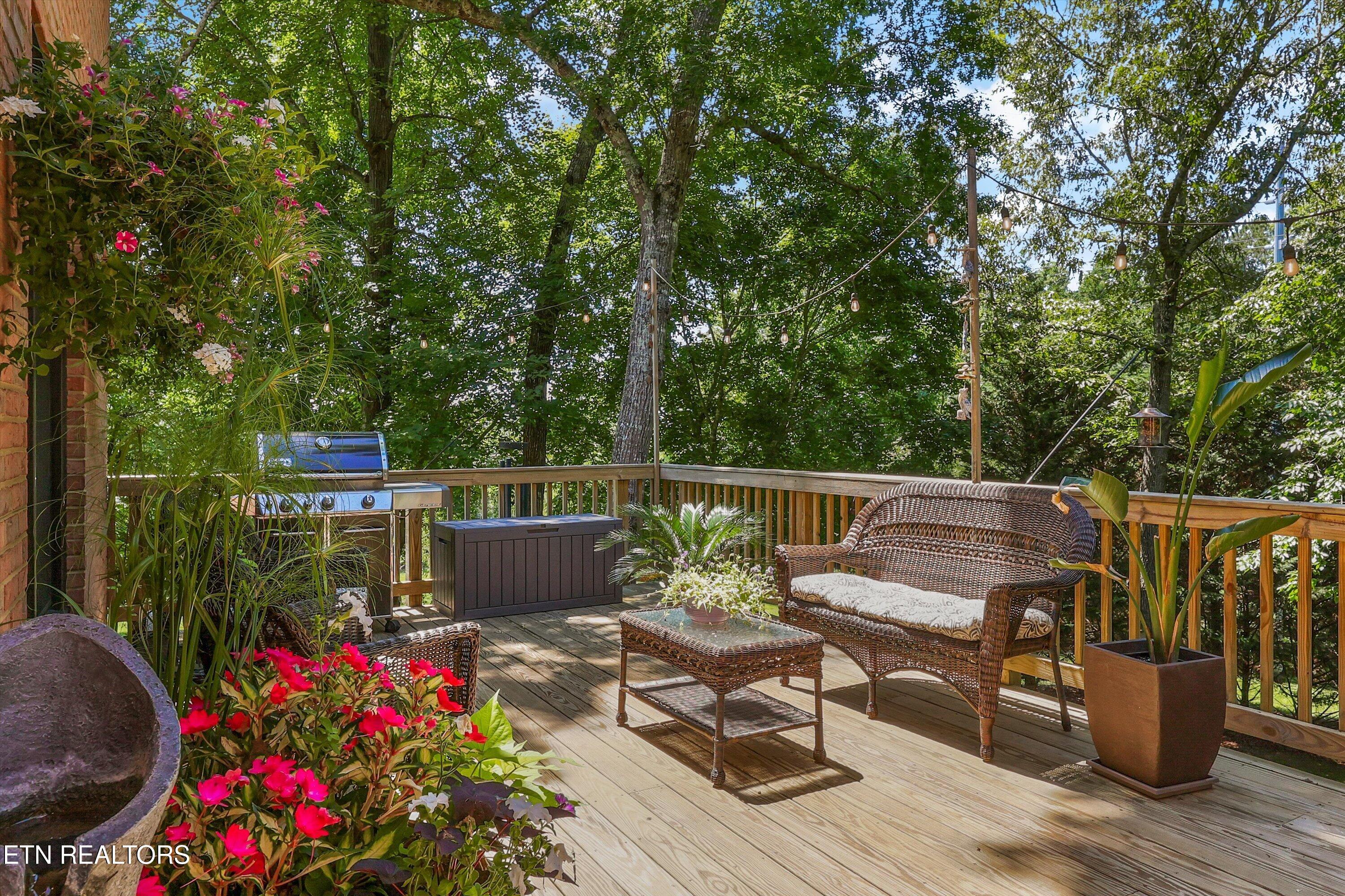 12529 High Forest Lane