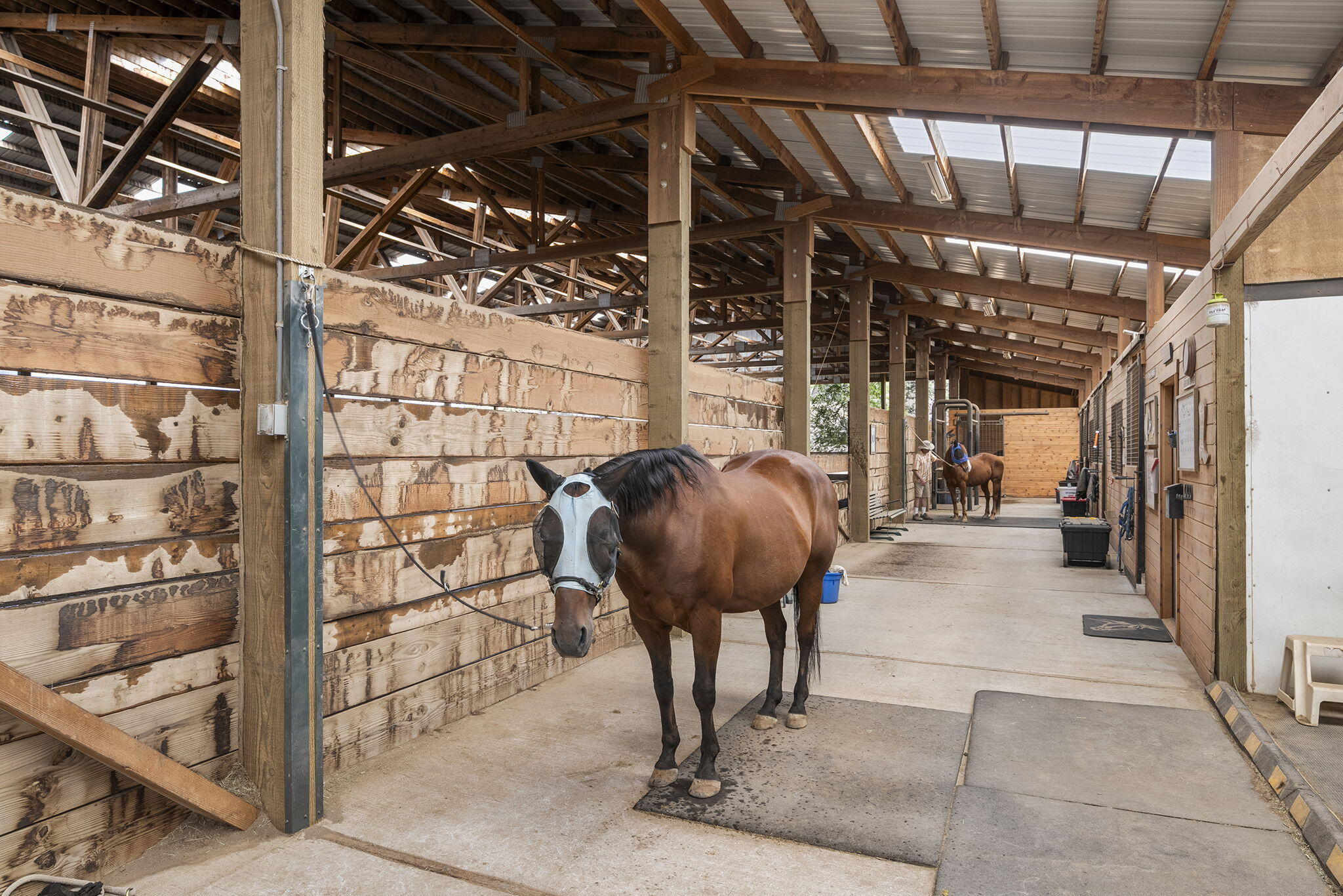 22500 Alfalfa Market Road