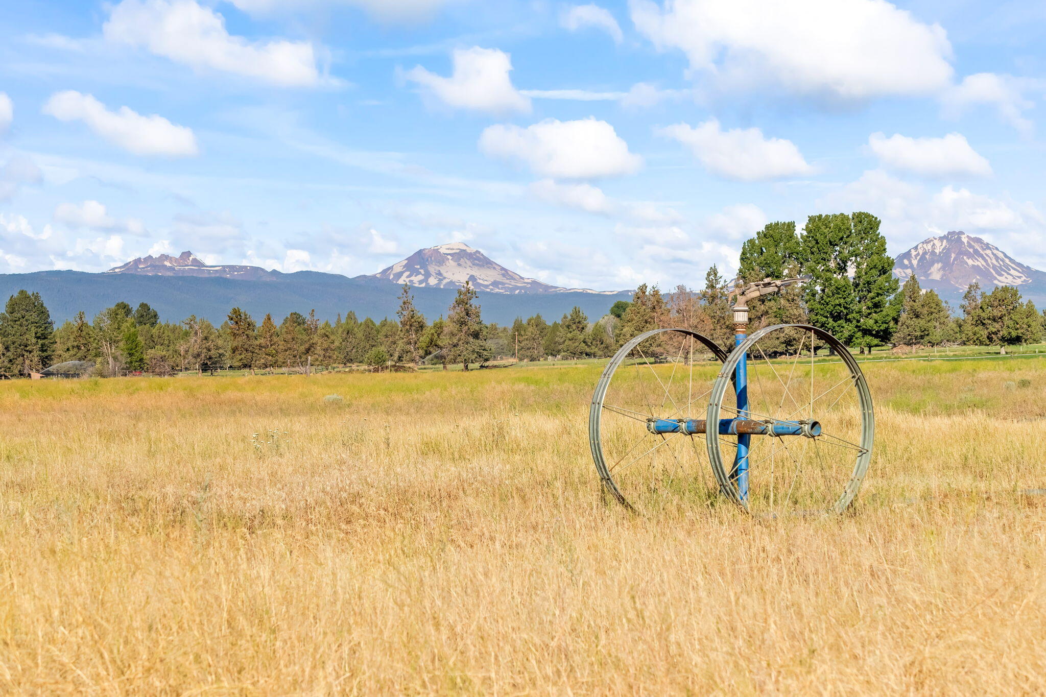 19190 Pinehurst Road