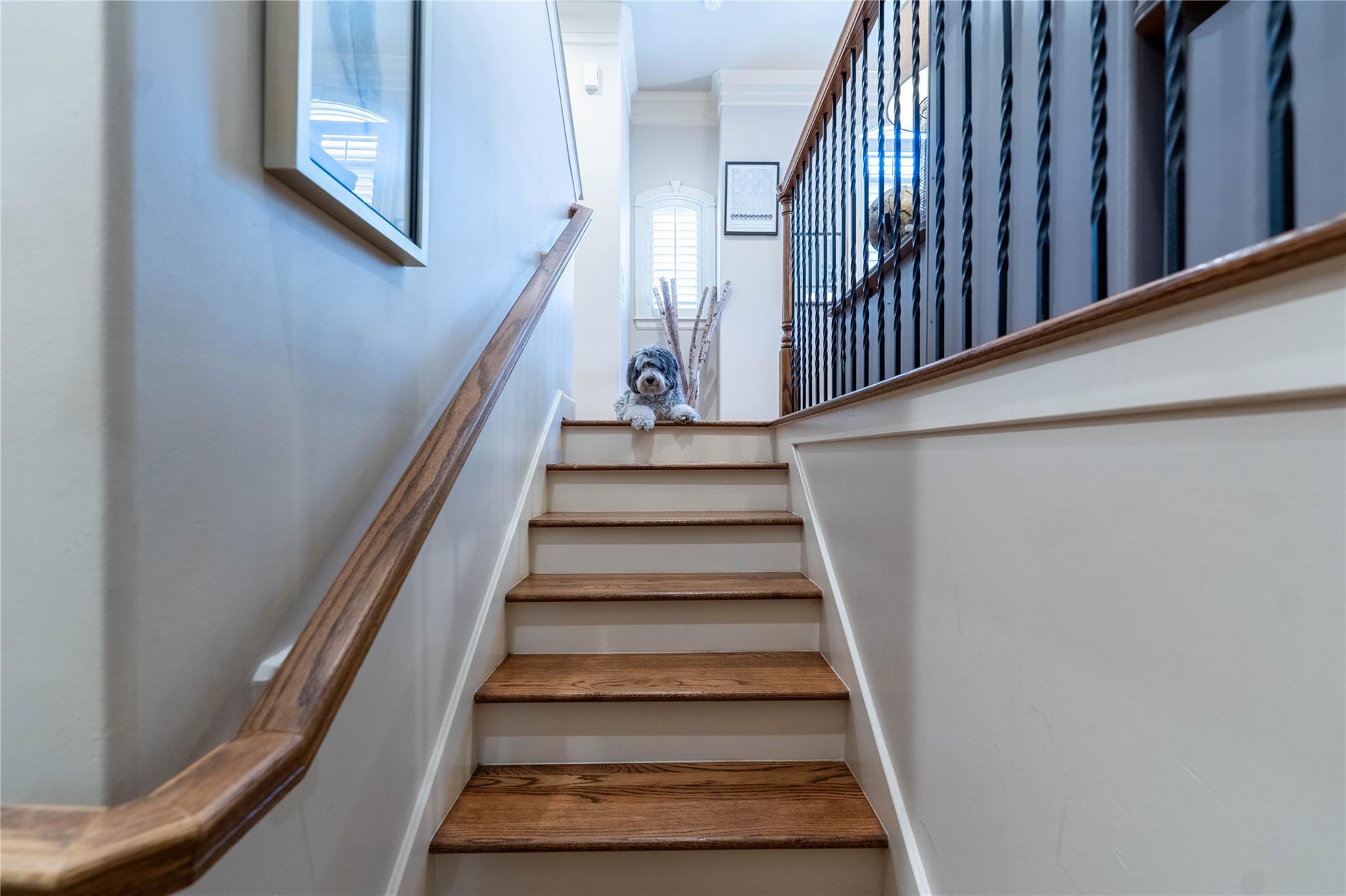 1403 Palm Street # B