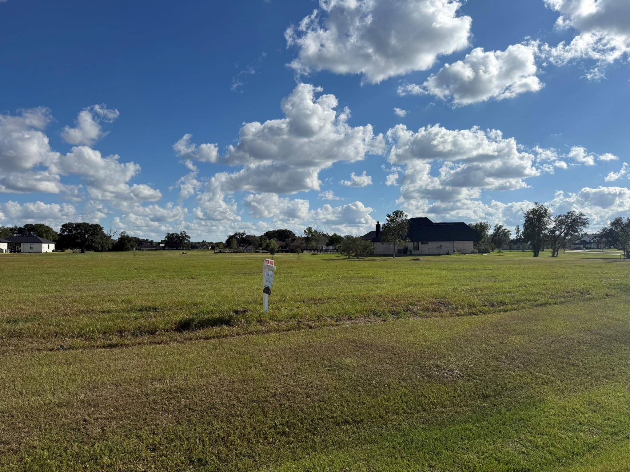 914 Lily Lane, Rosharon