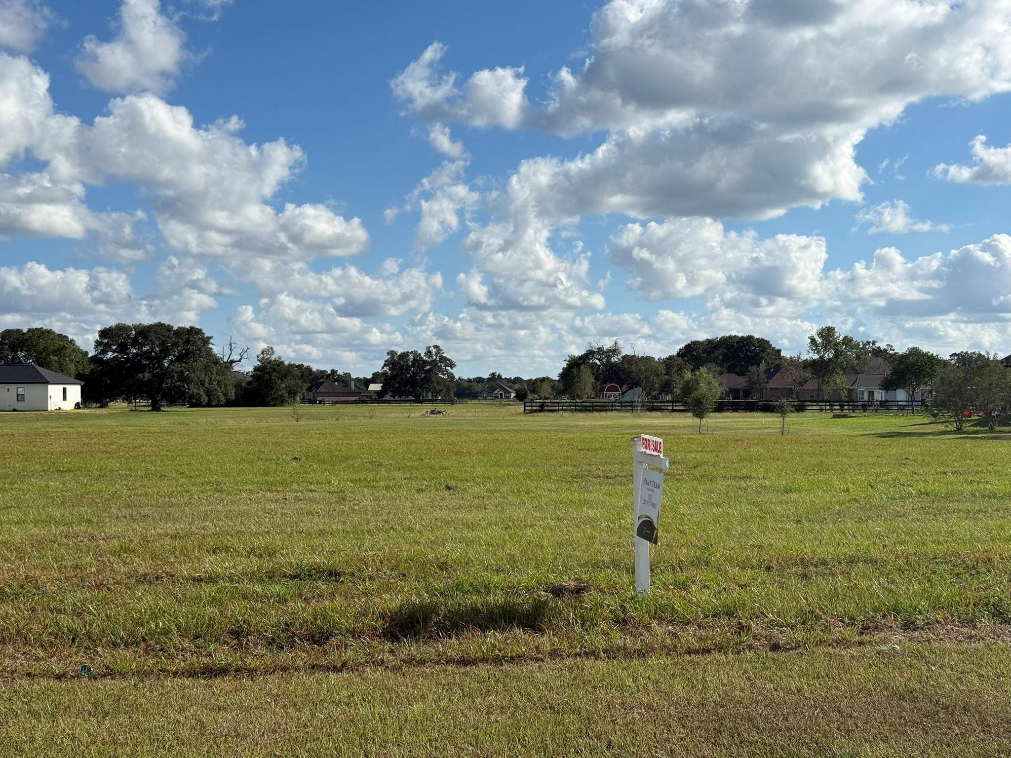 914 Lily Lane, Rosharon