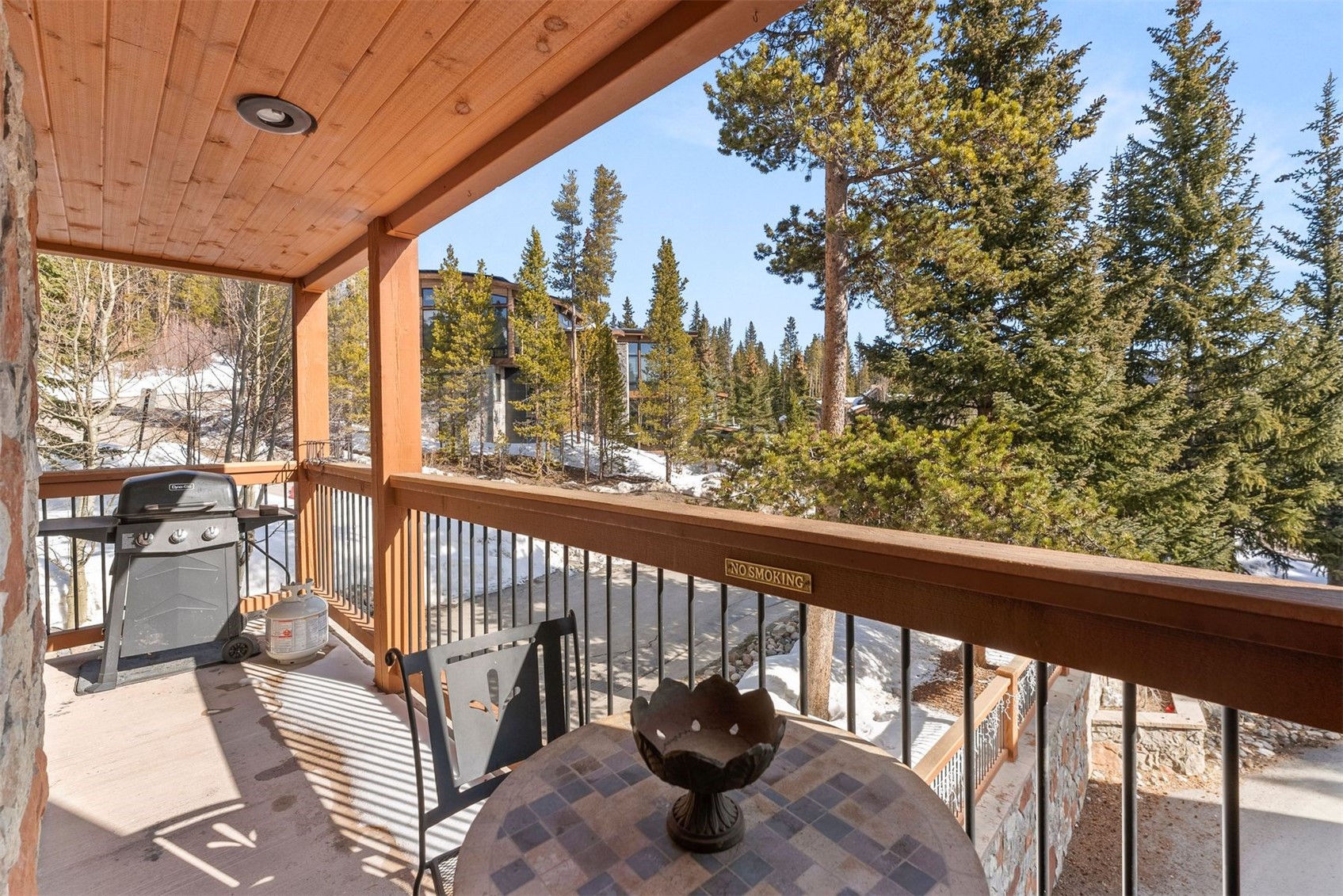 107 SKIWATCH DRIVE 329