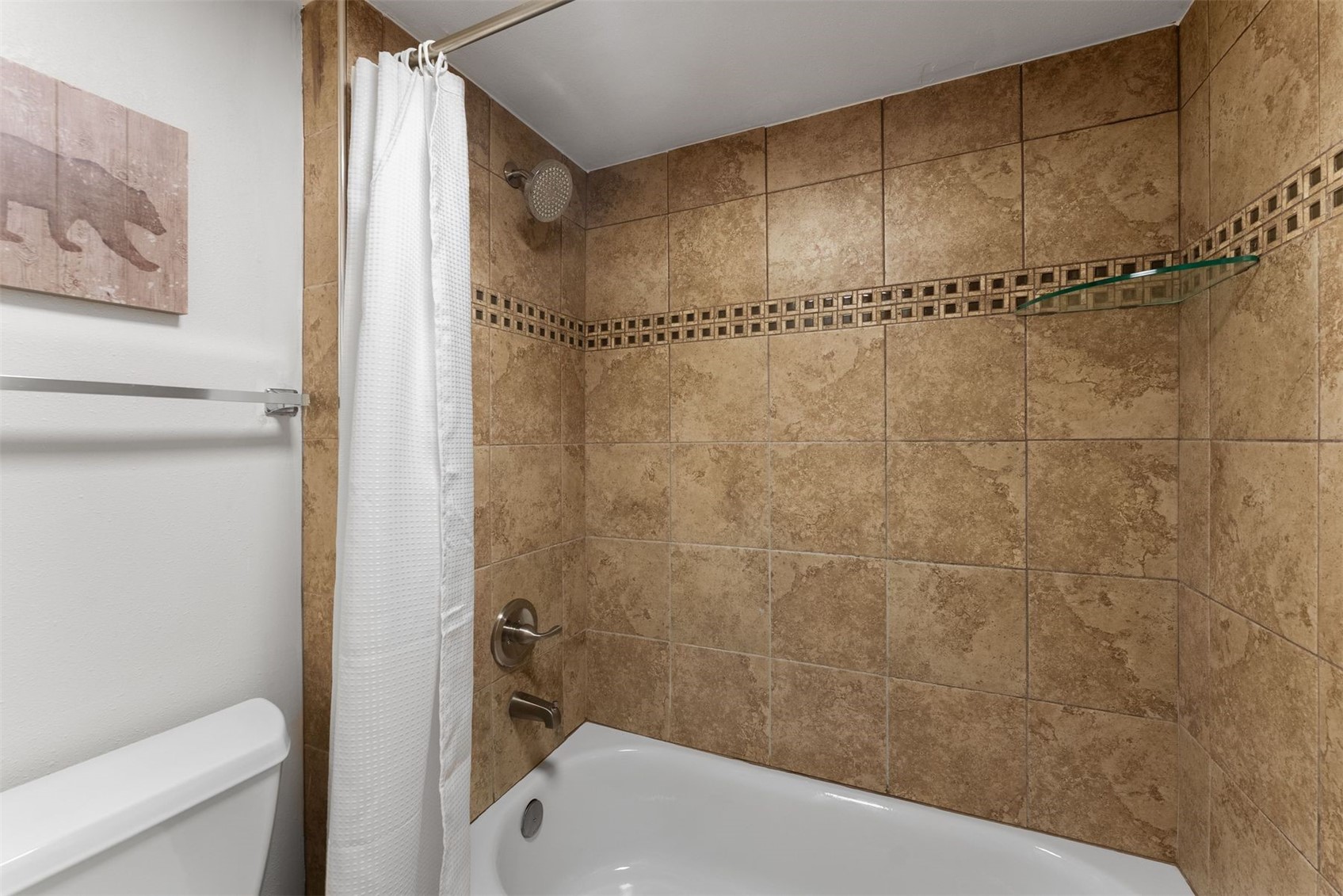 423 Wild Irishman ROAD 13204