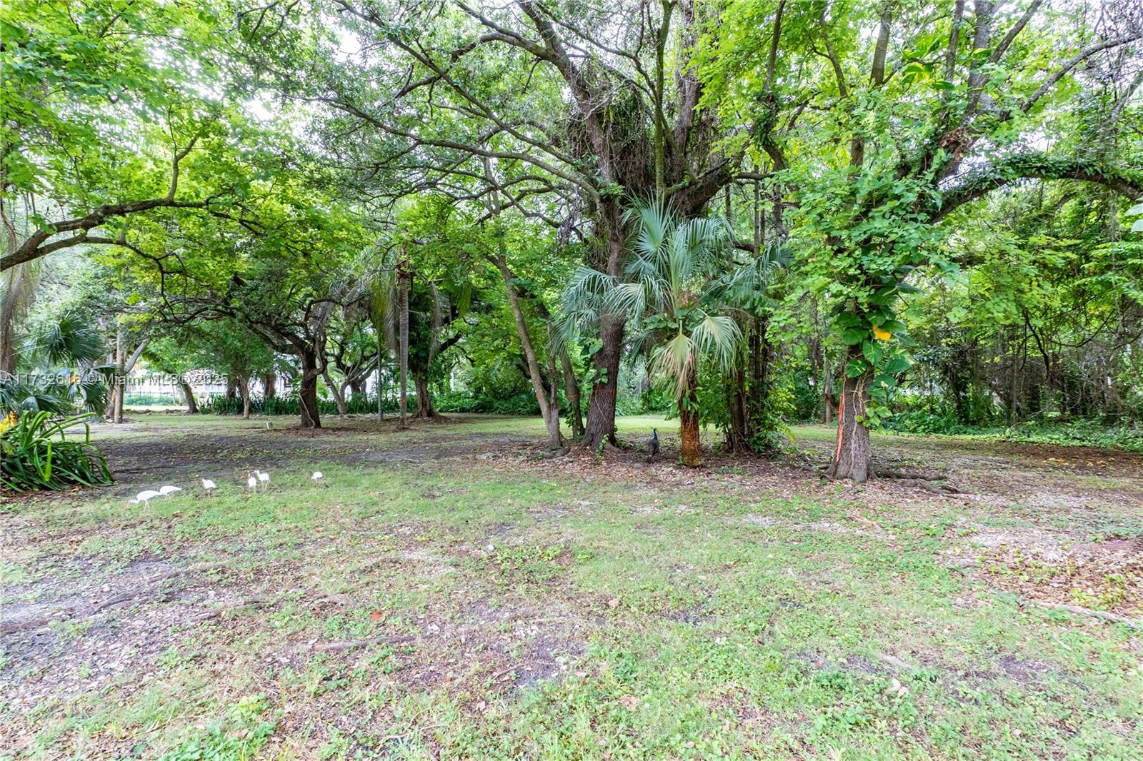 7709 SW 67th Ave Lot #2