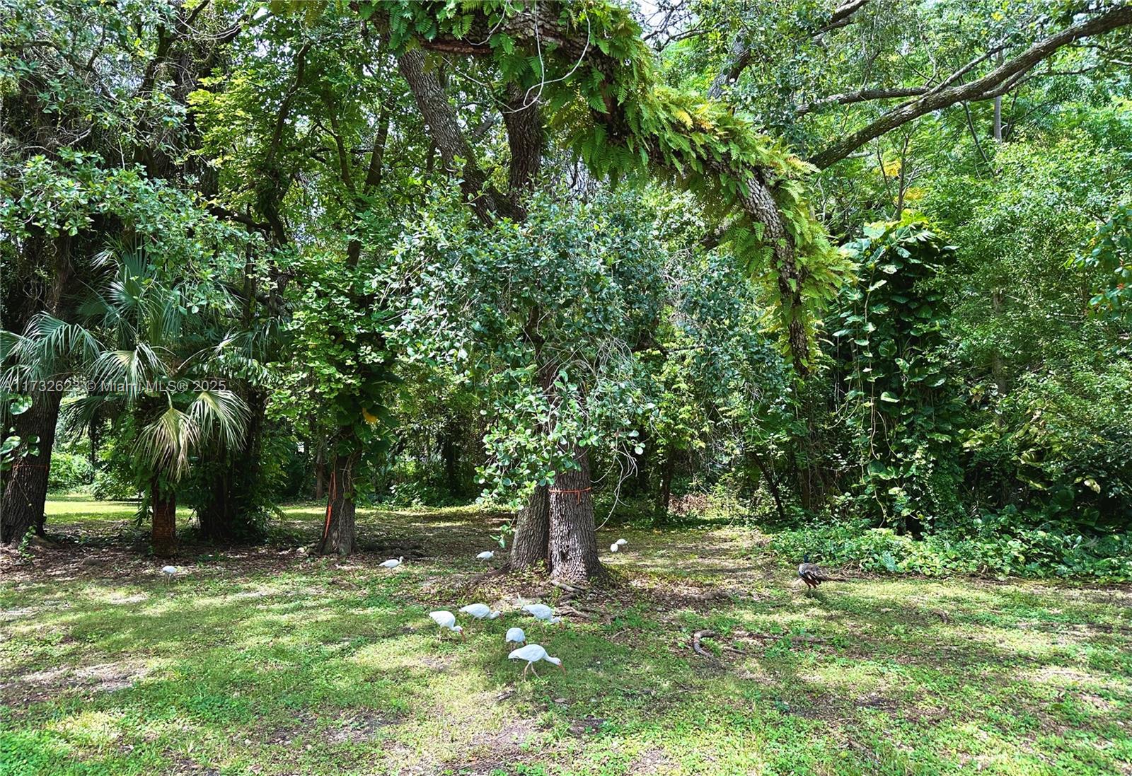 7709 SW 67th Ave Lot #3