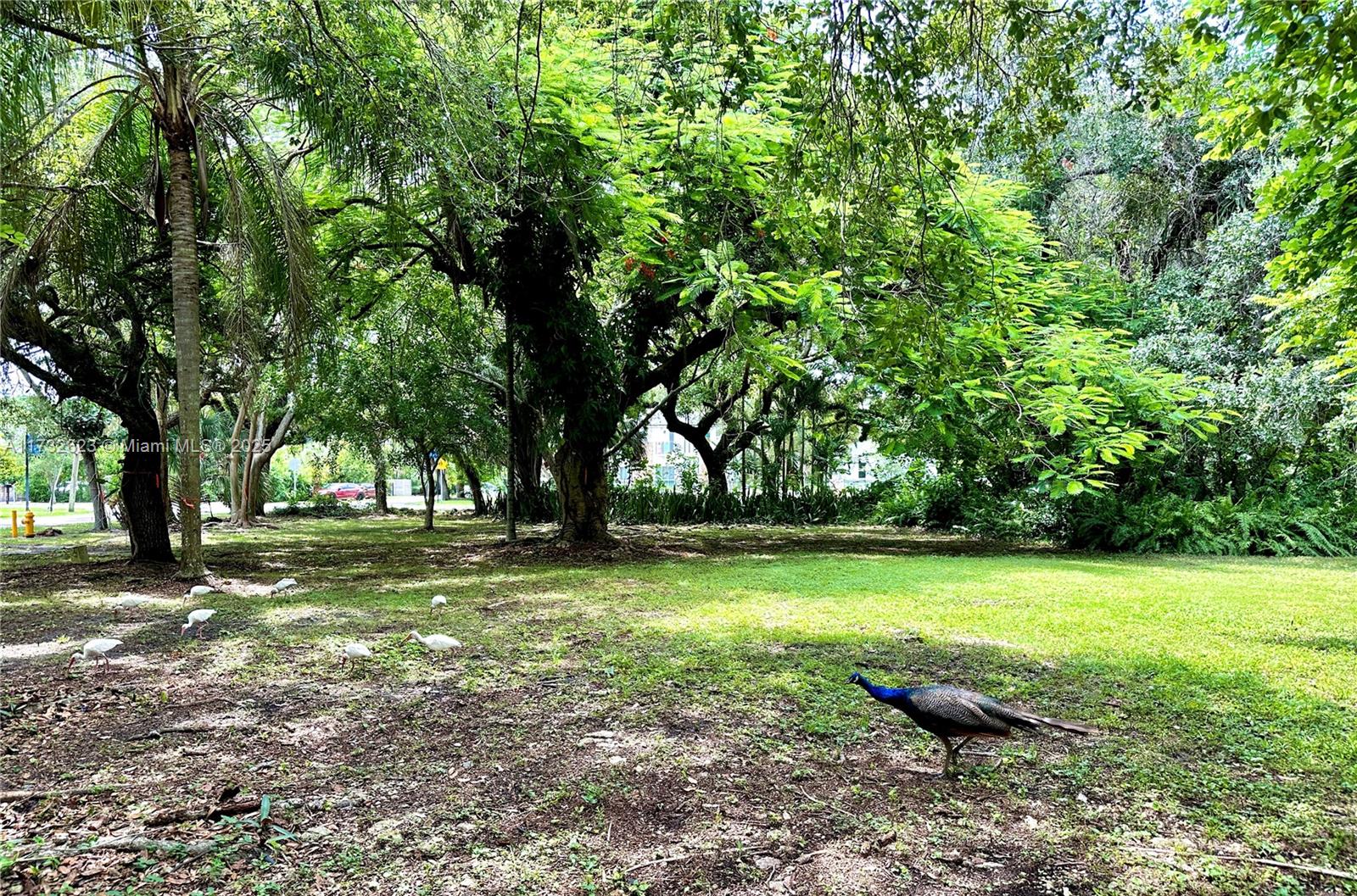 7709 SW 67th Ave Lot #3